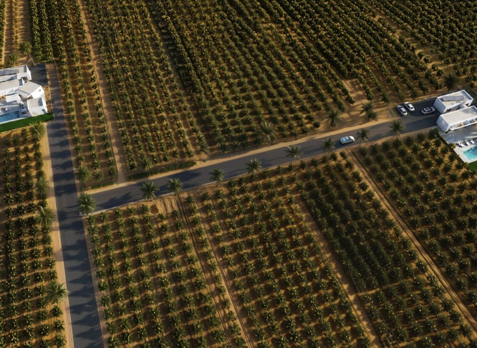 New Build - Villa -
Benejúzar - alta