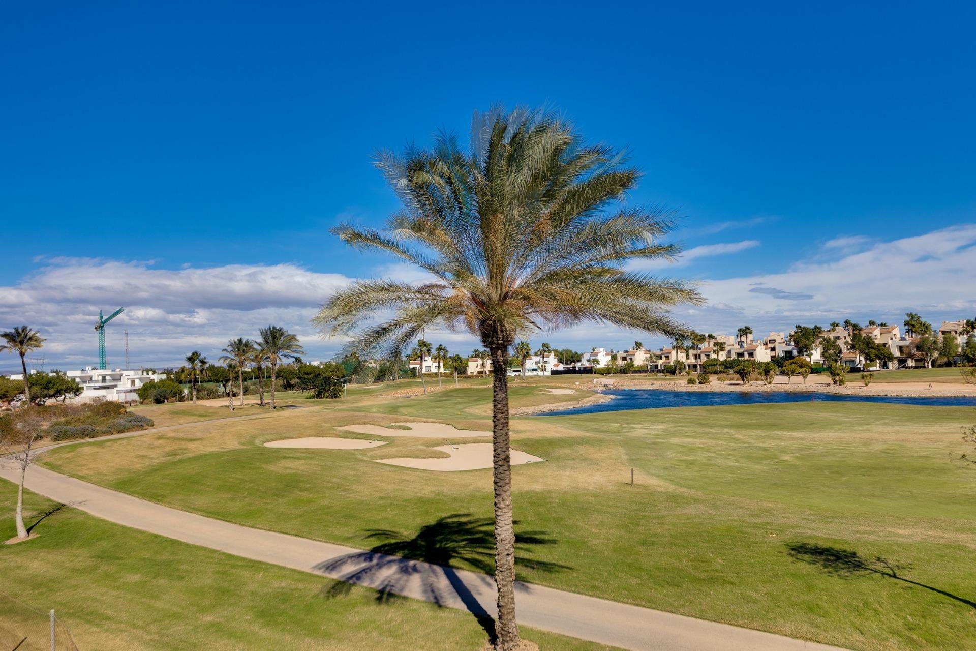 New Build - Villa -
Pilar de la Horadada - Roda Golf
