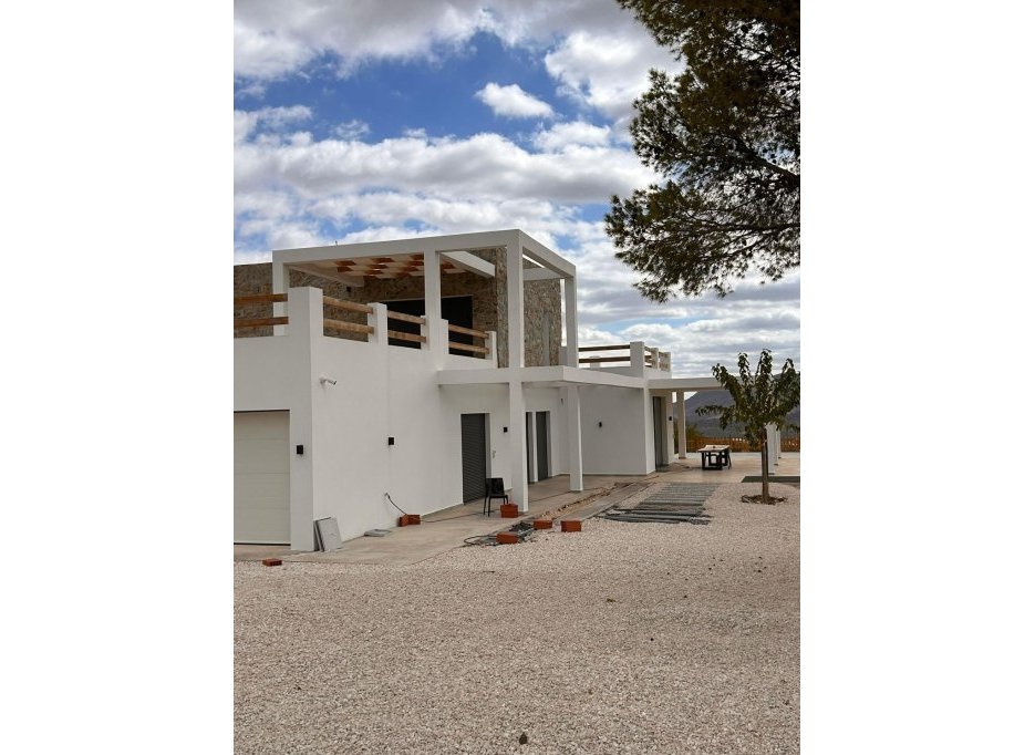New Build - Villa -
Pinoso - Casas Pastor