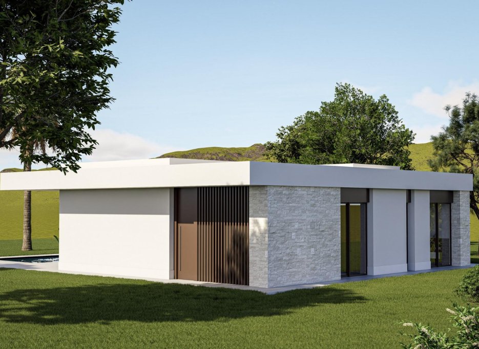 New Build - Villa -
Pinoso - Lel