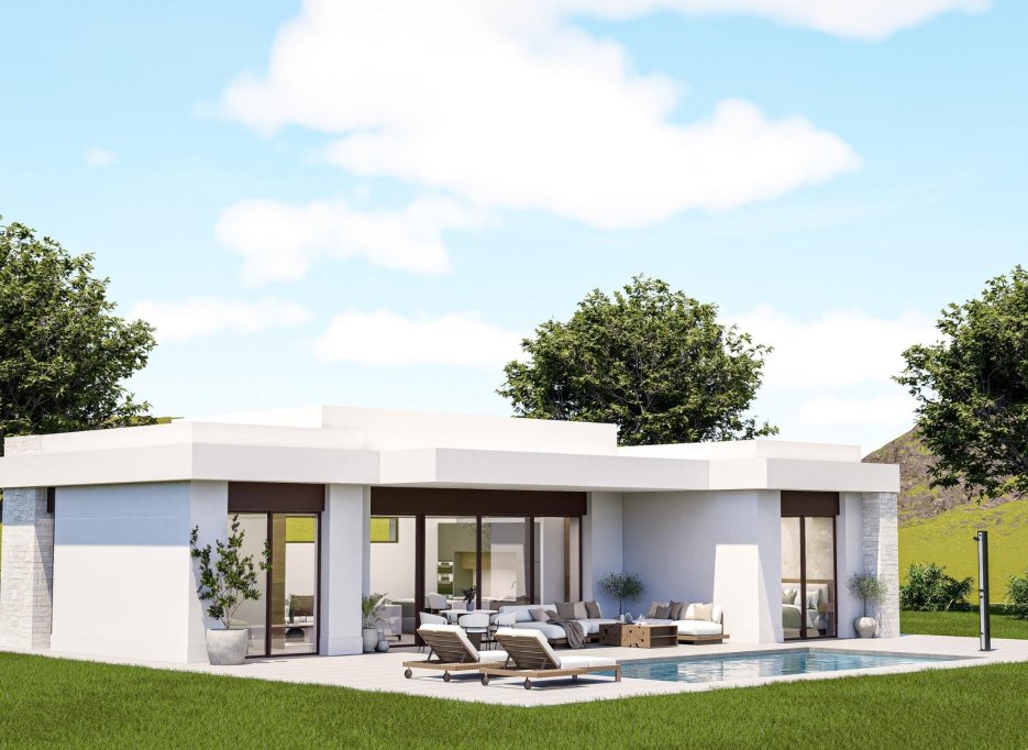 New Build - Villa -
Pinoso - Lel