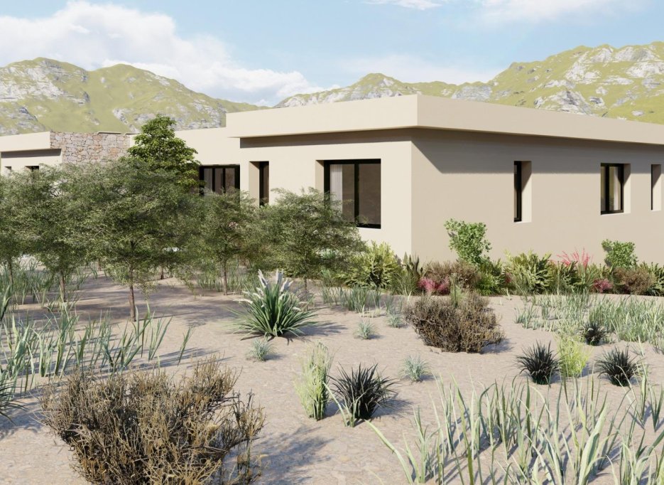 New Build - Villa -
Yecla