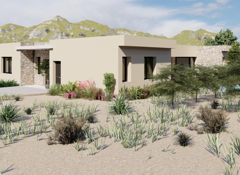 New Build - Villa -
Yecla