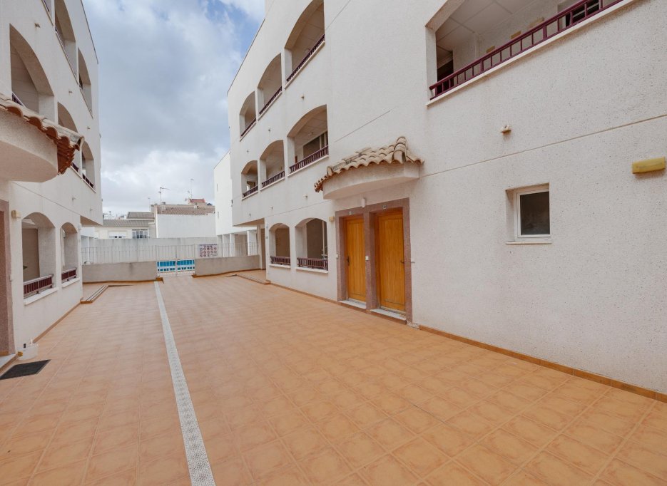 Nowy budynek - Apartment -
San Fulgencio - Pueblo