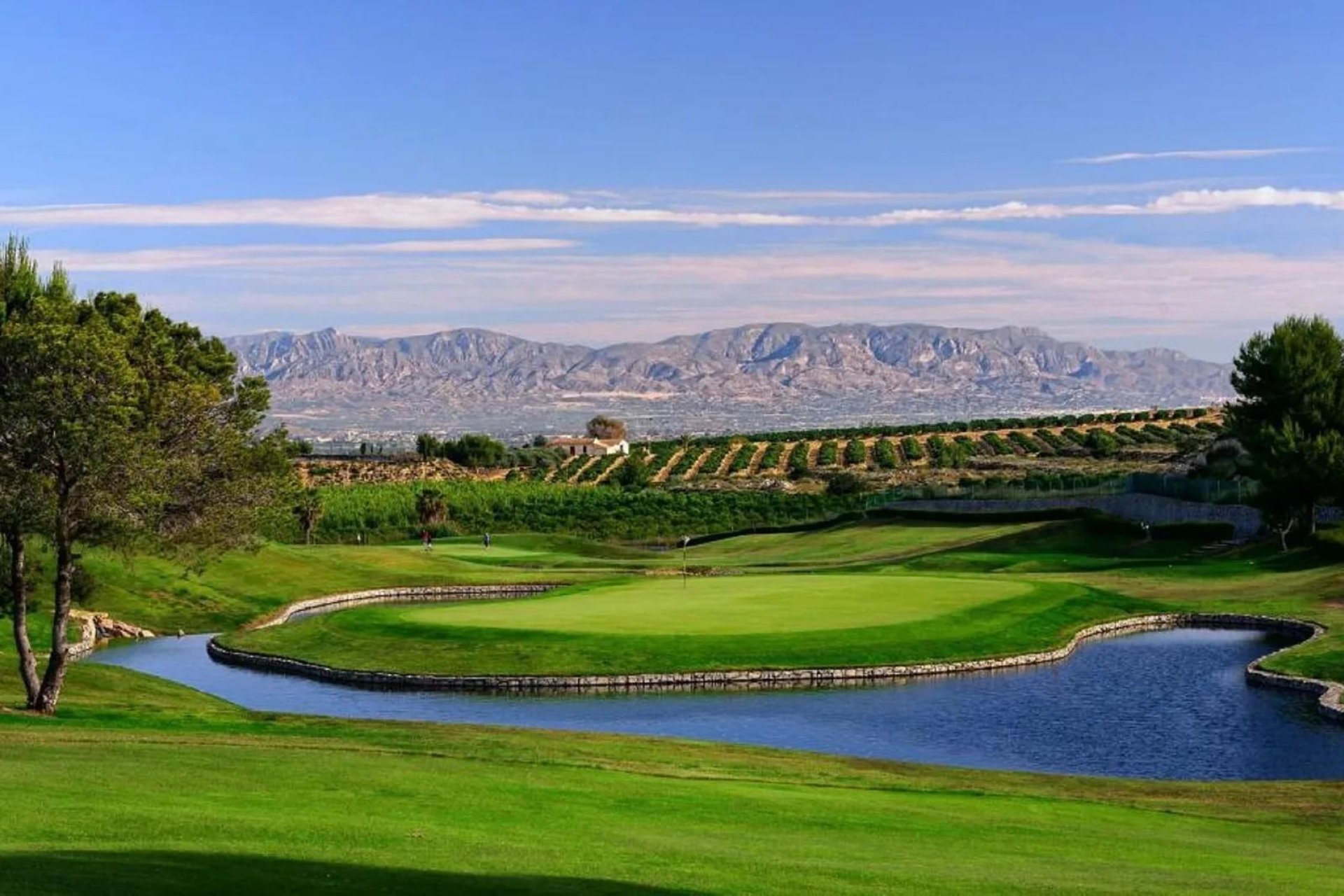 Nowy budynek - Bungalowy -
Algorfa - La Finca Golf