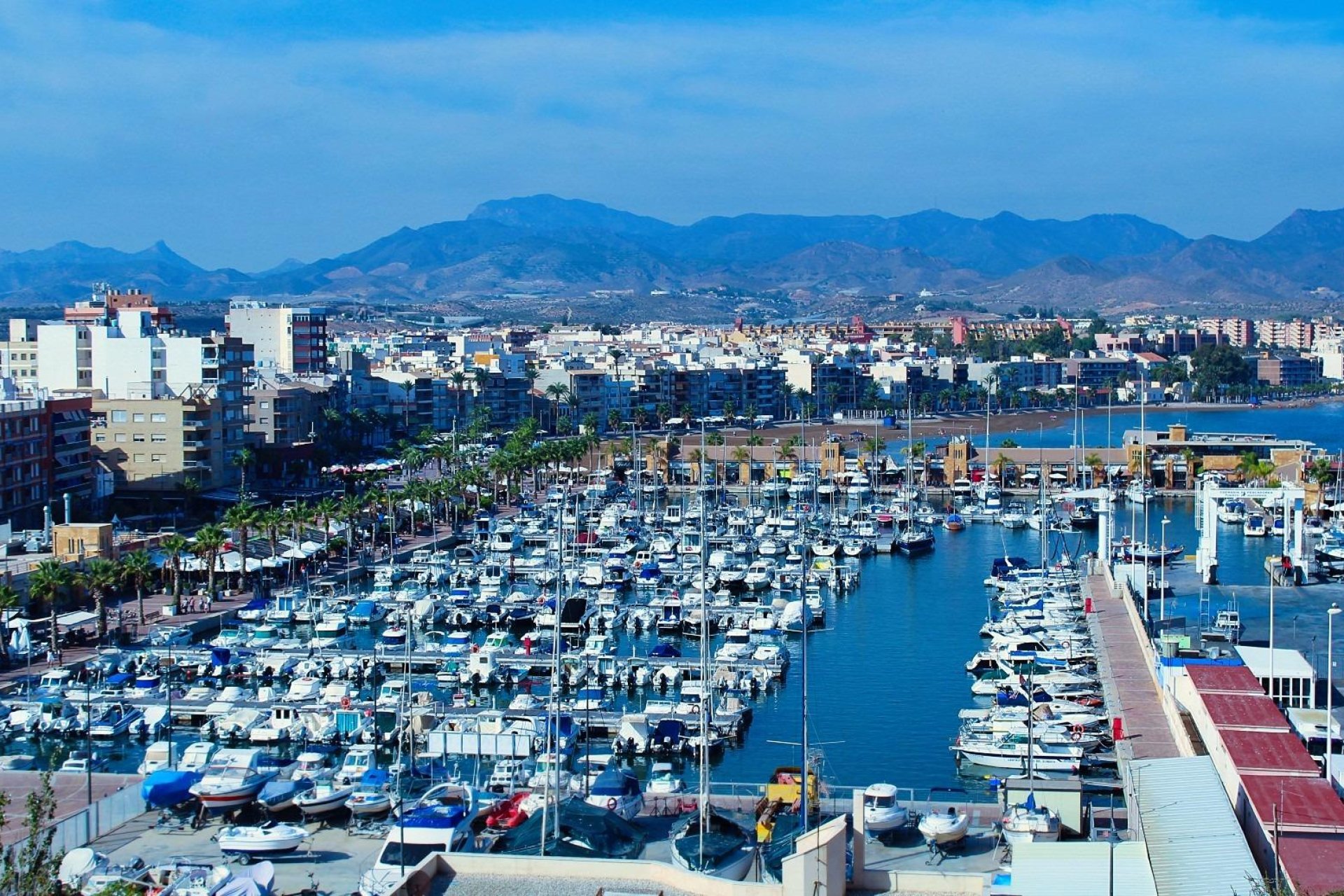 Nowy budynek - Bungalowy -
Fuente Álamo - La Pinilla