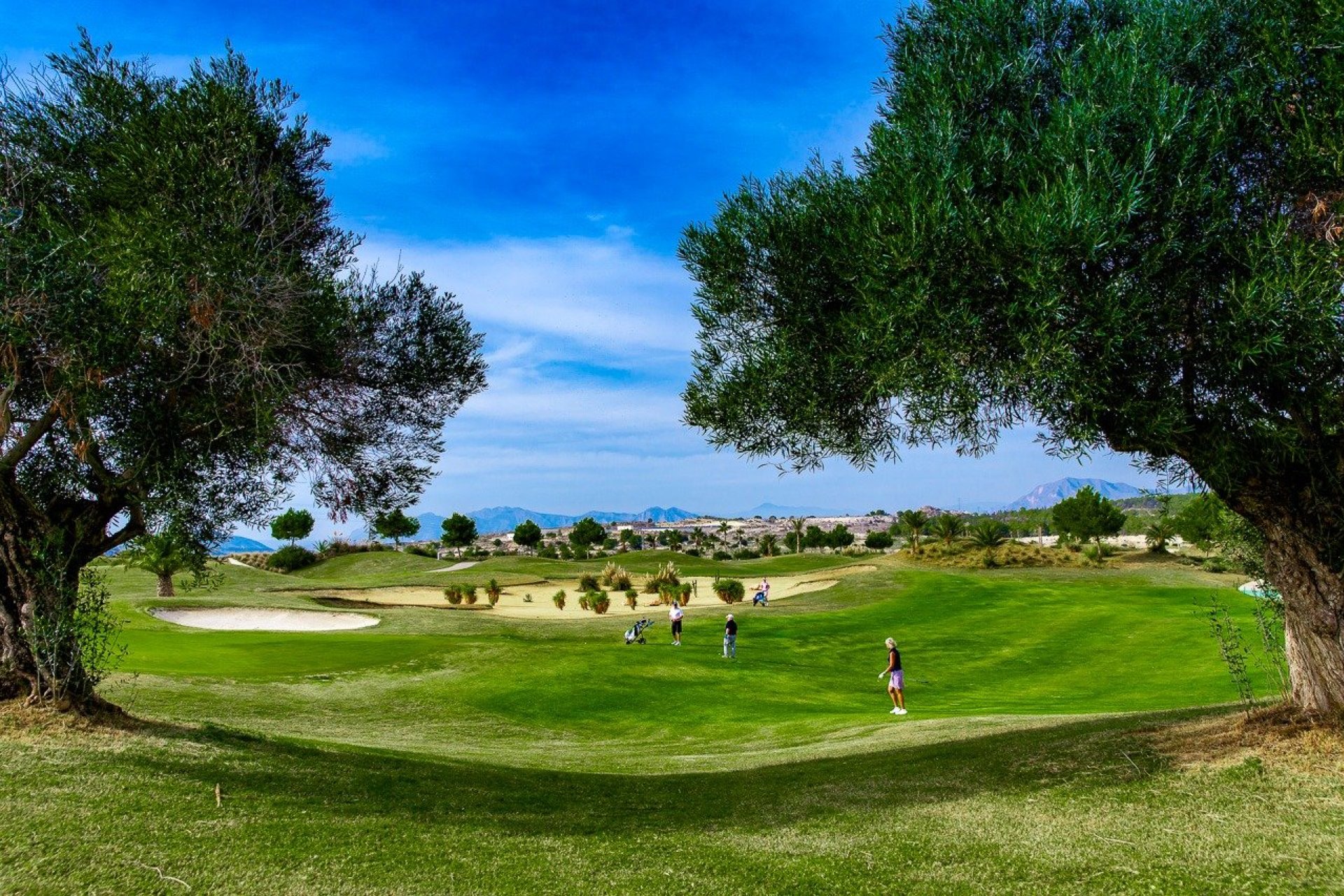 Nowy budynek - Bungalowy -
Orihuela - Vistabella Golf