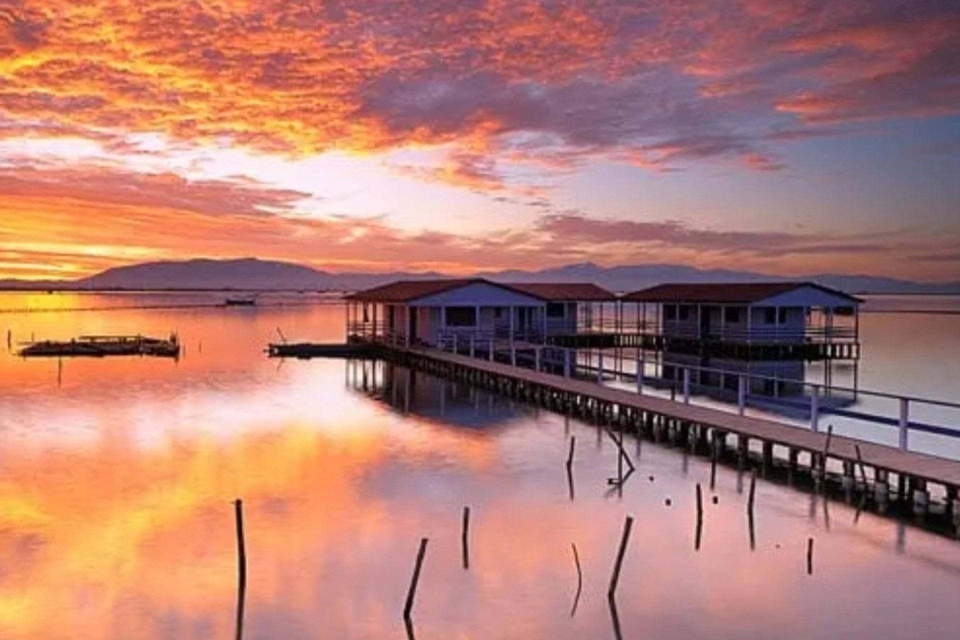 Nowy budynek - Bungalowy -
San Pedro del Pinatar - Los Pinos