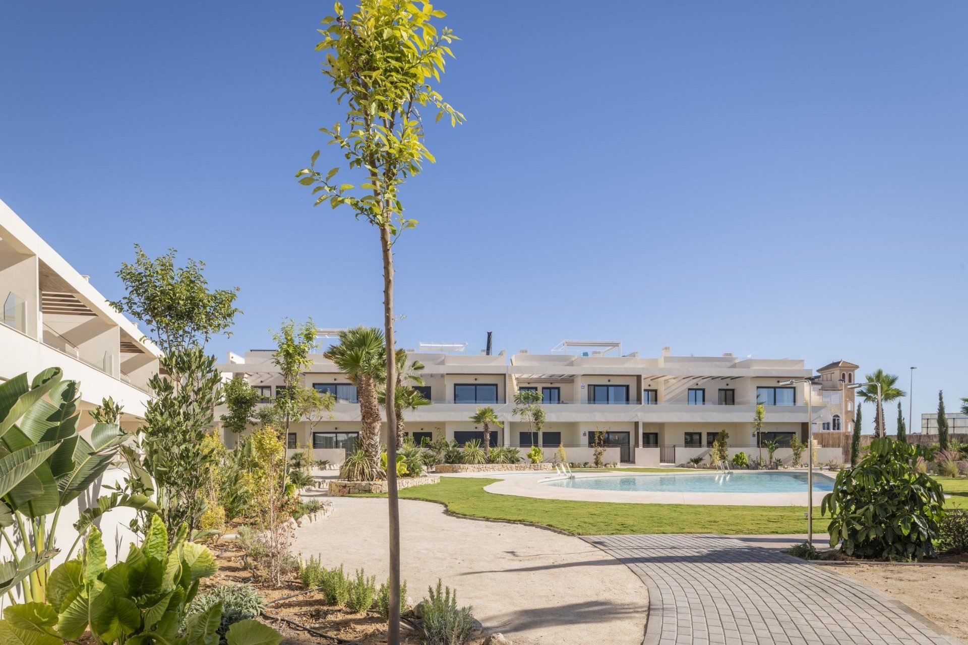 Nowy budynek - Bungalowy -
Torrevieja - Villa Amalia