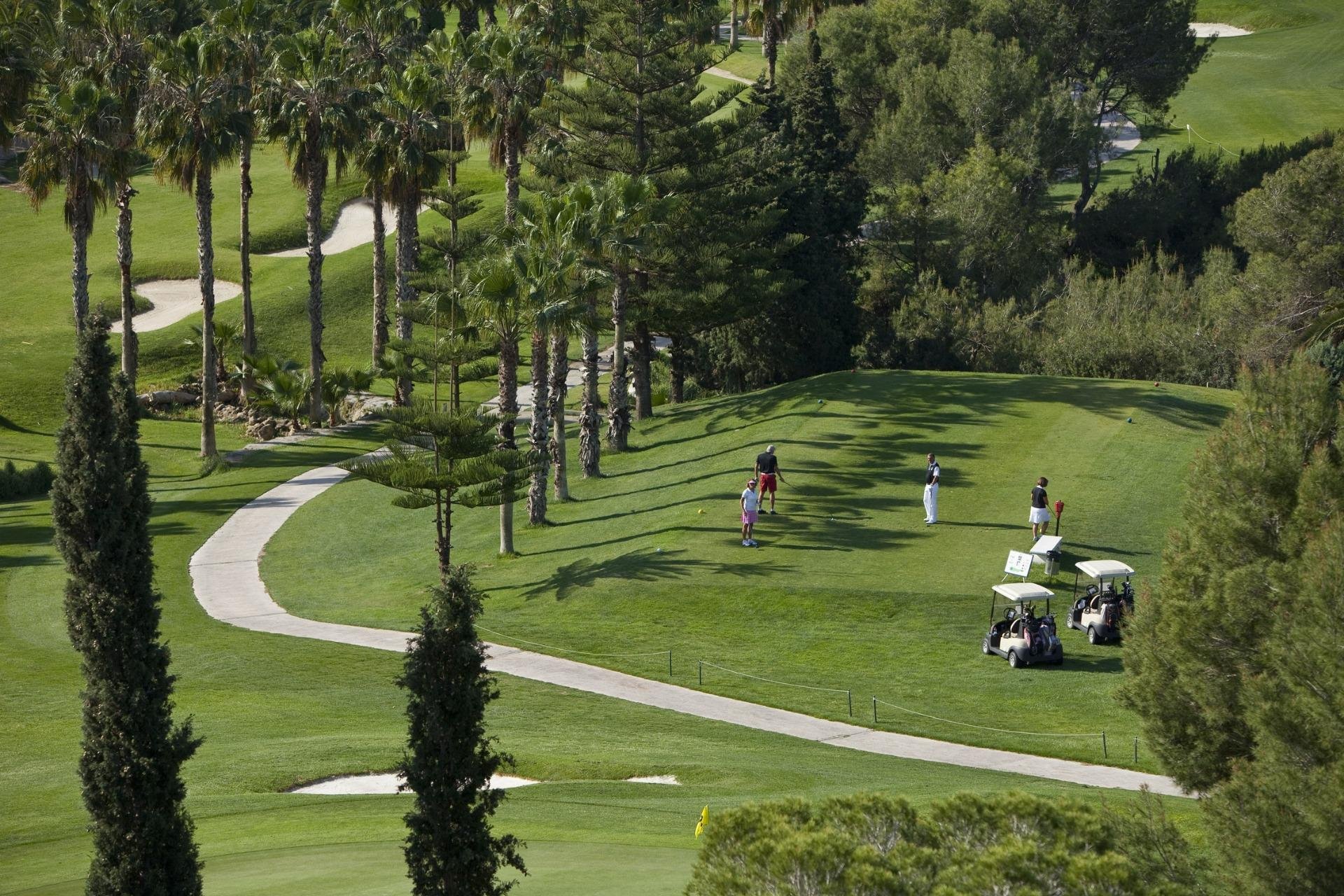 Nowy budynek - Daszek -
Orihuela Costa - Lomas de Campoamor