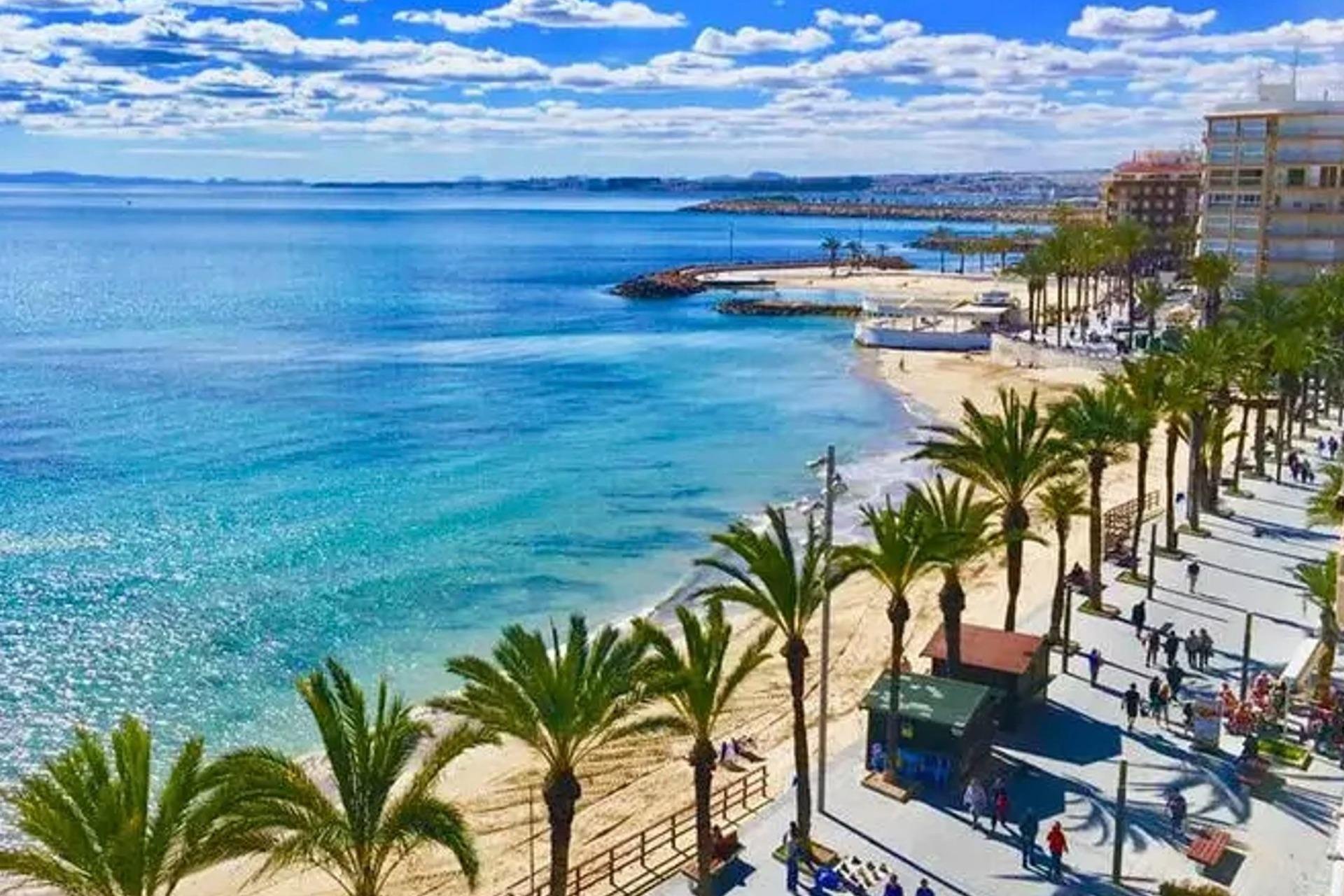 Nowy budynek - Daszek -
Torrevieja - Playa de El Cura