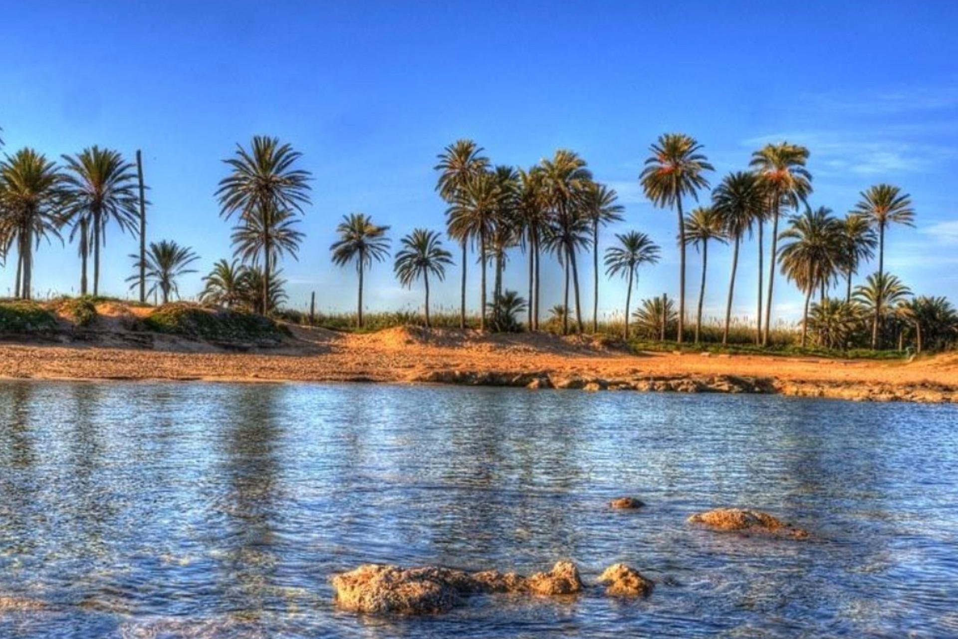 Nowy budynek - Daszek -
Torrevieja - Playa de El Cura