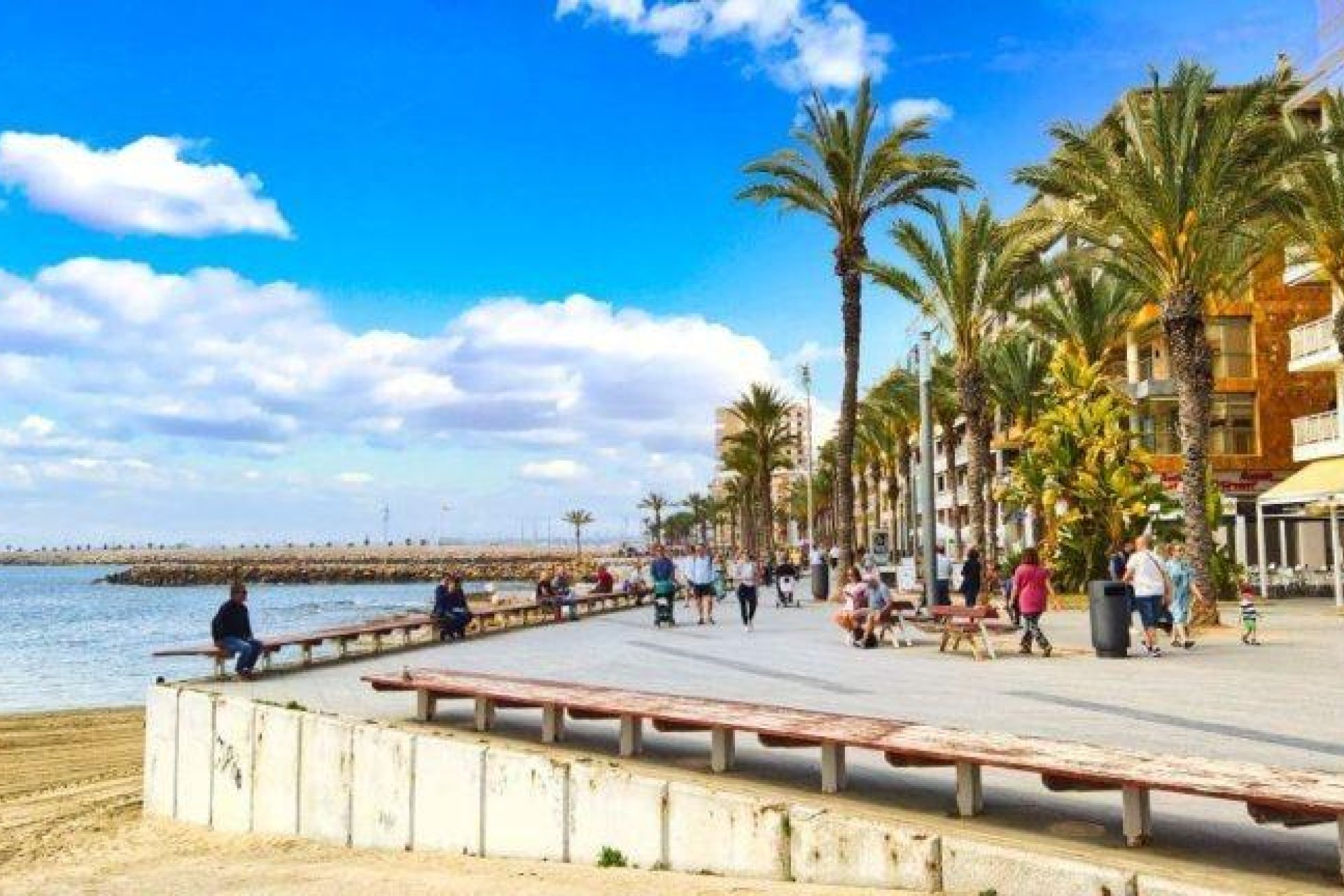 Nowy budynek - Daszek -
Torrevieja - Playa de El Cura