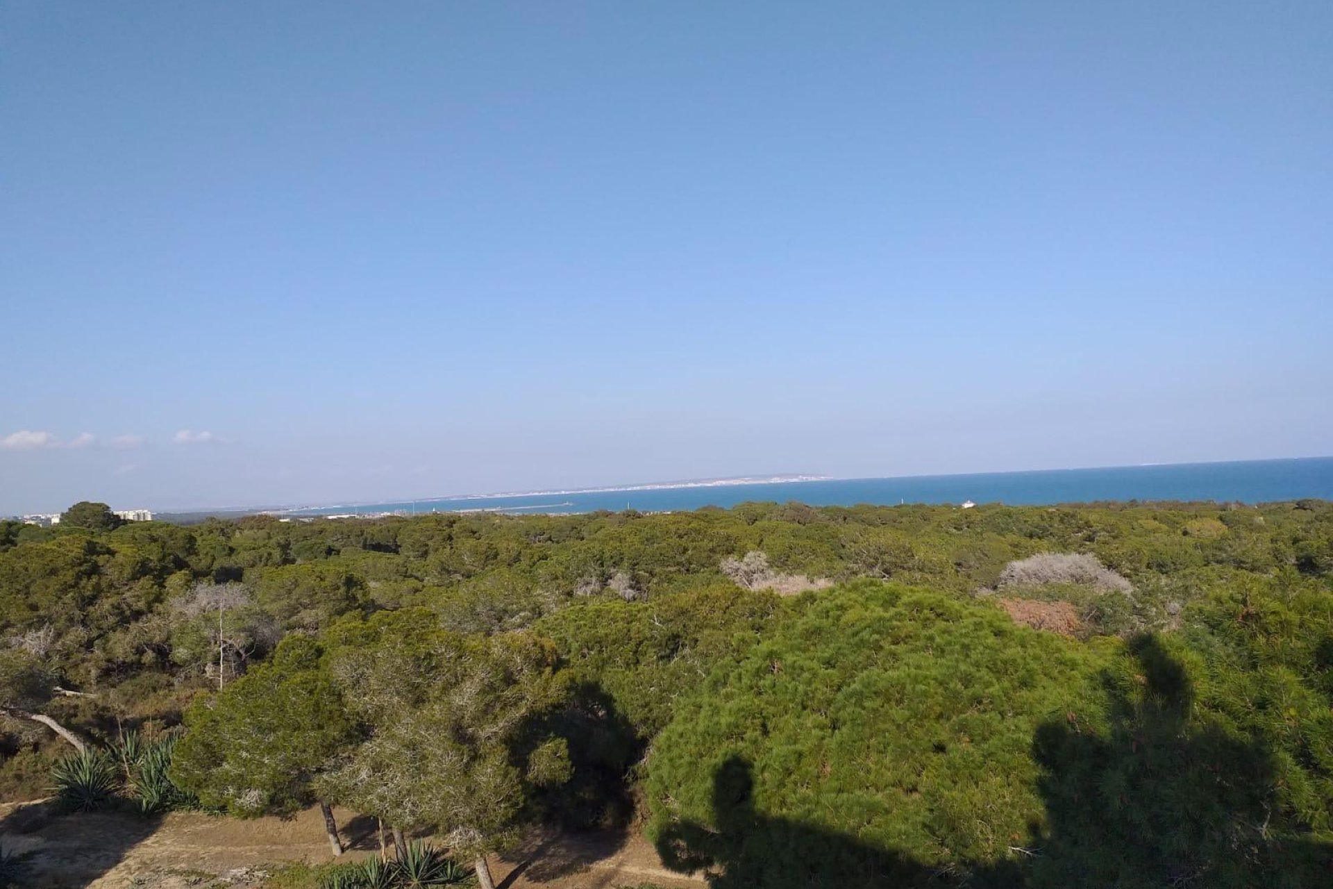 Nowy budynek - Ground floor apartment -
Guardamar del Segura - Pueblo