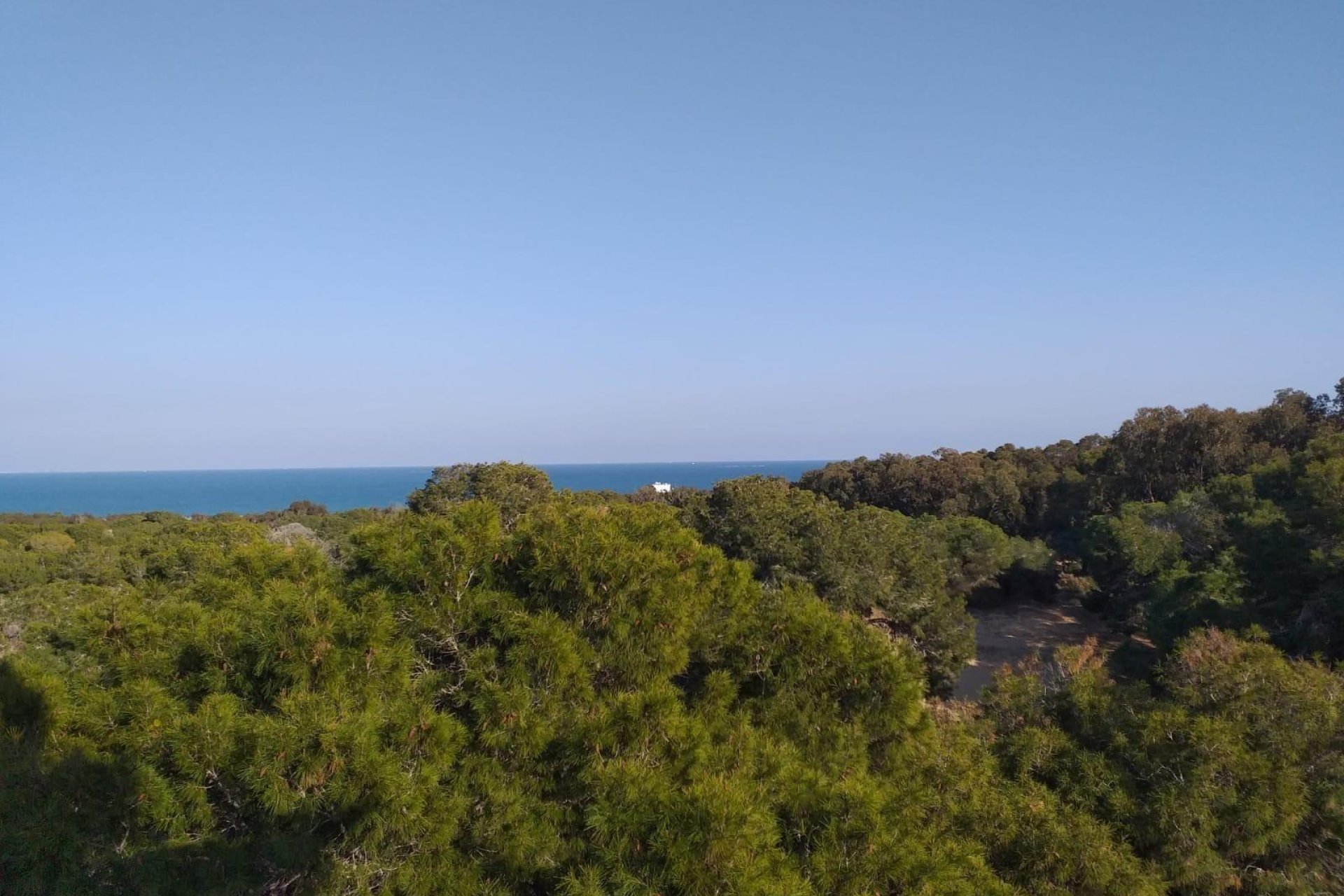 Nowy budynek - Ground floor apartment -
Guardamar del Segura - Pueblo