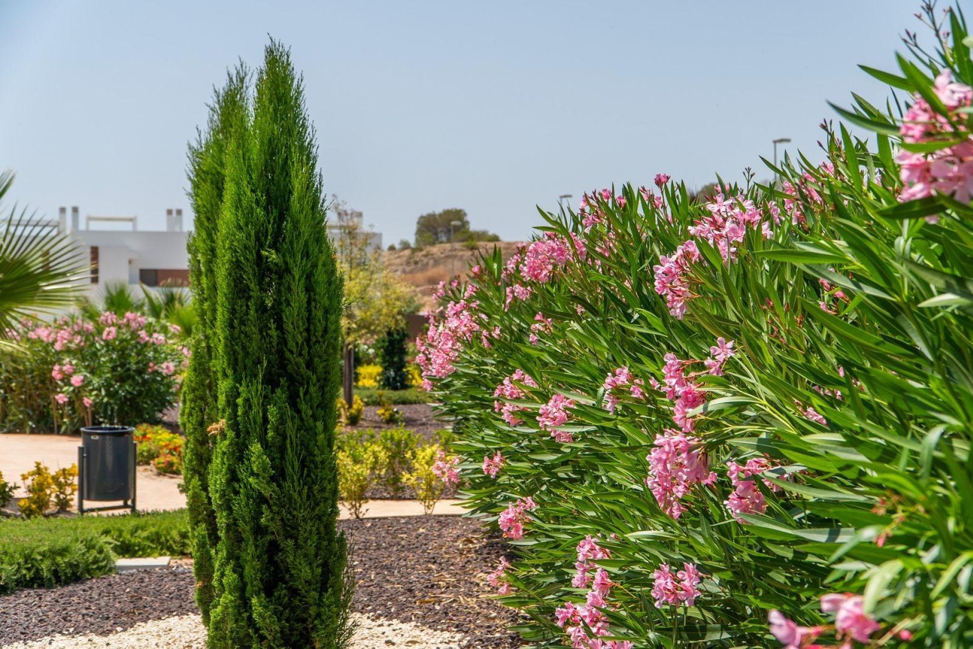 Nowy budynek - Ground Floor Bungalow -
Orihuela - Vistabella Golf