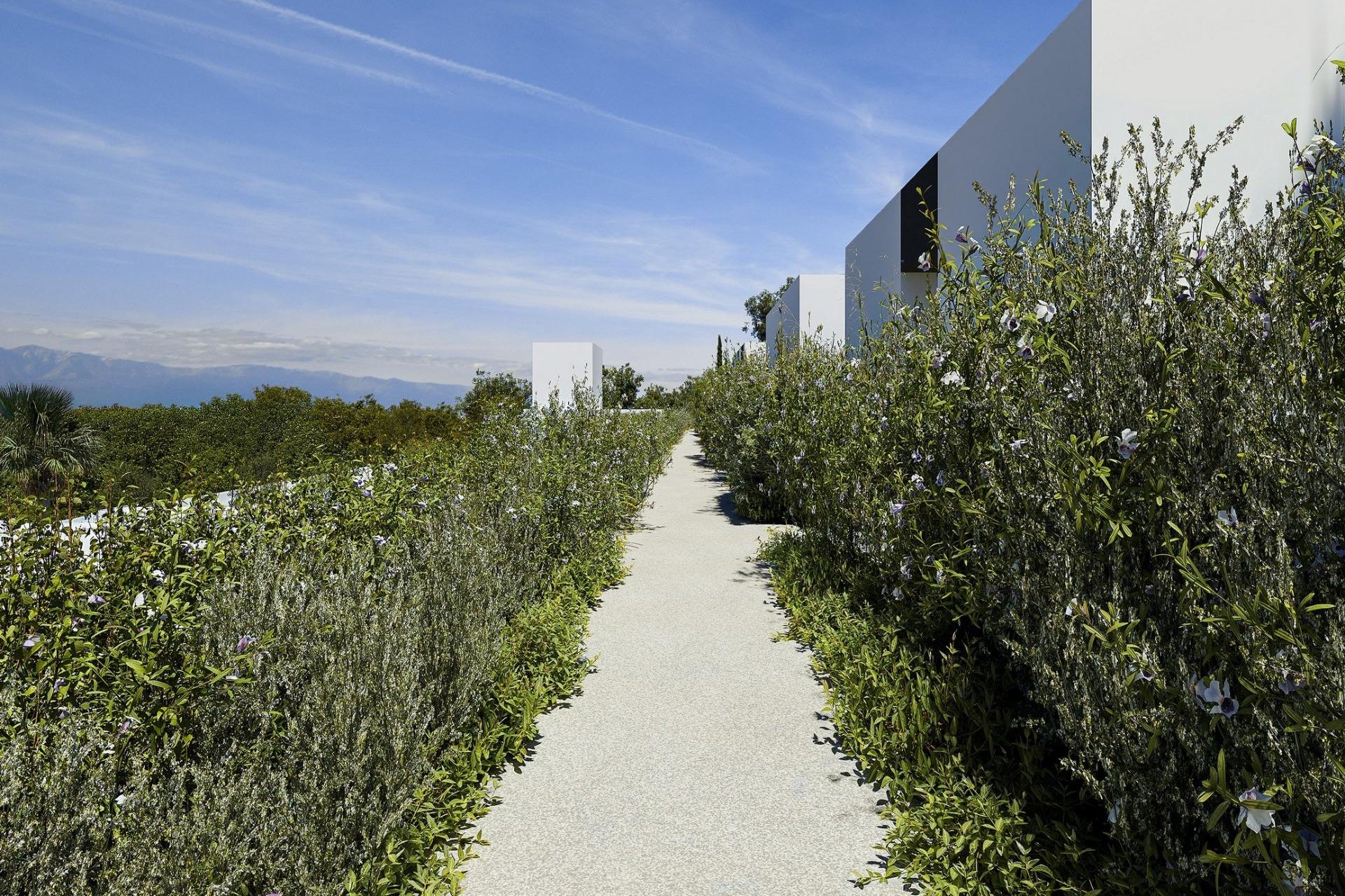 Nowy budynek - Villa -
Alfas del Pí - Barranc Fondo