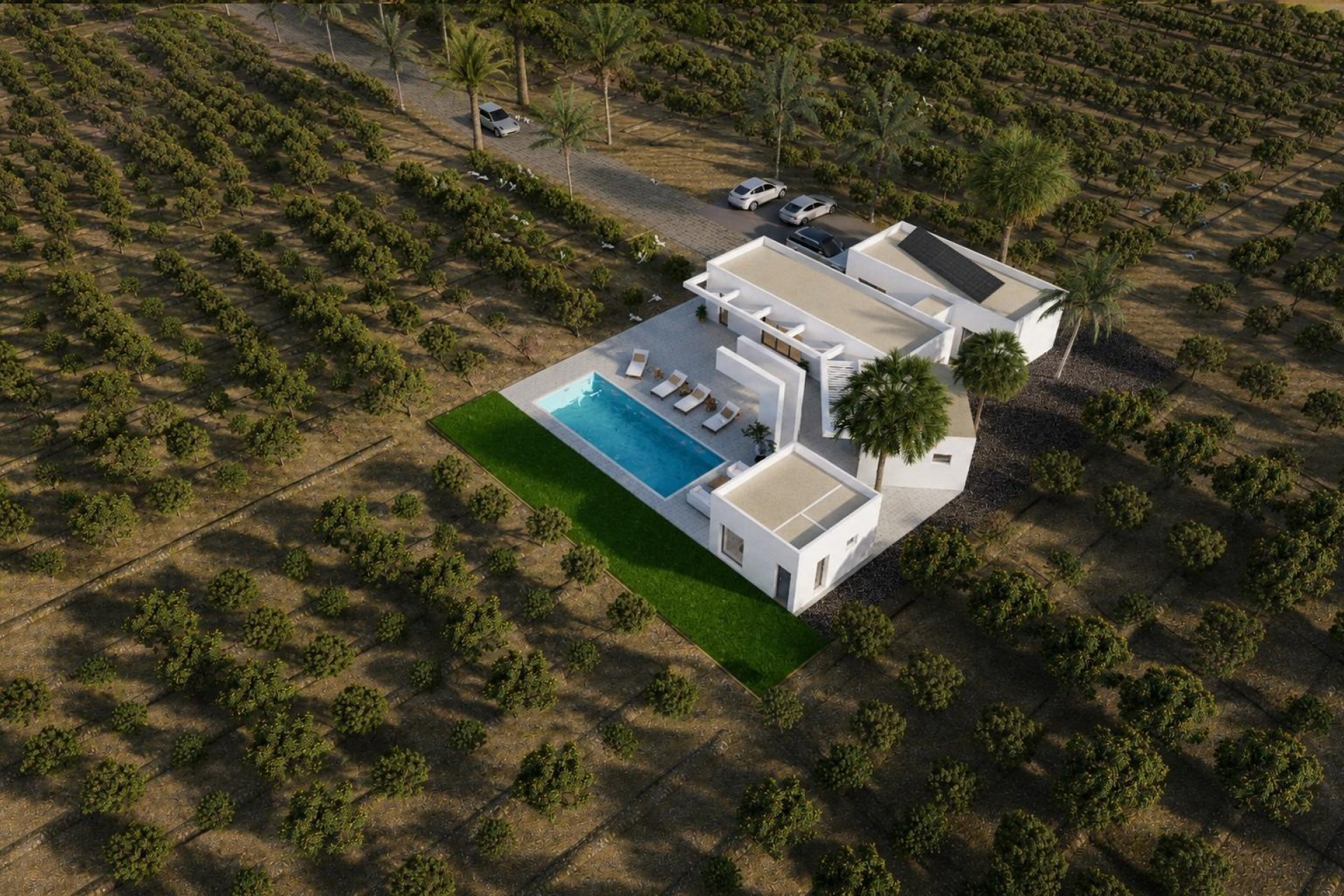 Nowy budynek - Villa -
Benejúzar - alta
