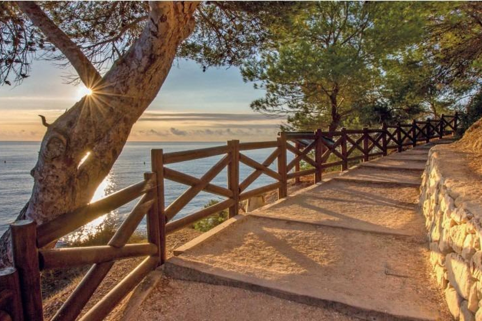 Nowy budynek - Villa -
Benissa - Cala Advocat