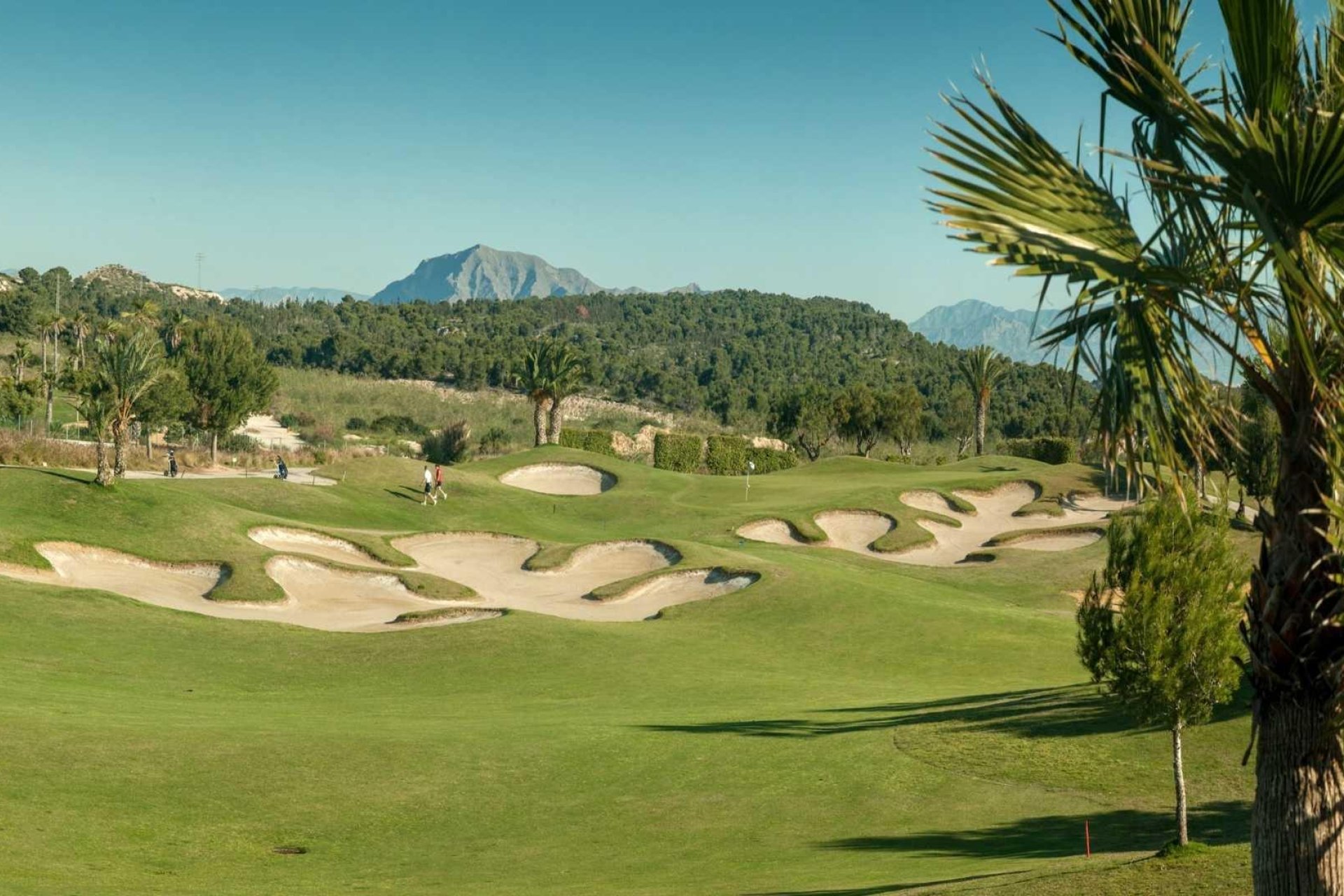 Nowy budynek - Villa -
Orihuela - Vistabella Golf