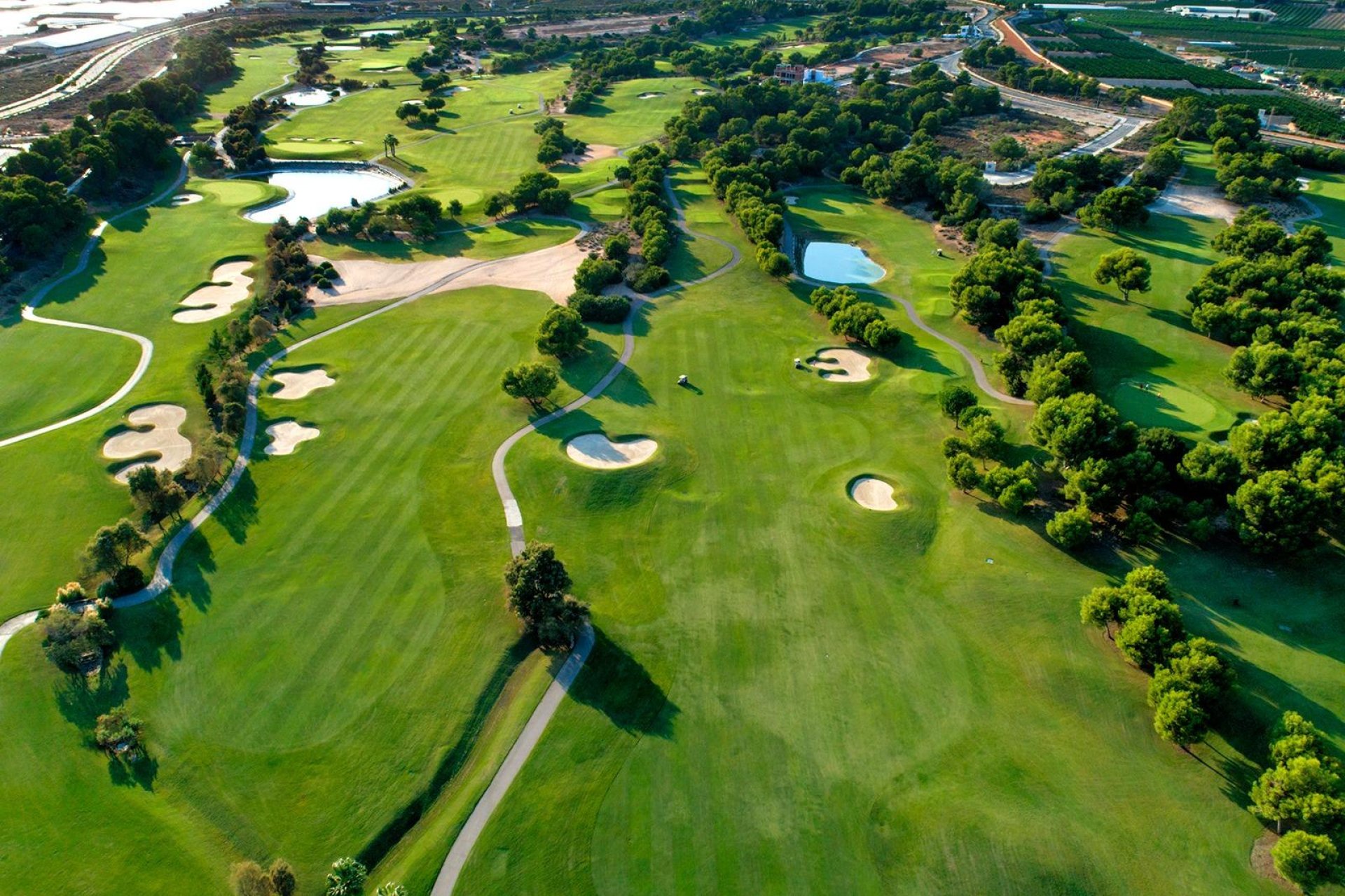 Nowy budynek - Villa -
Pilar de la Horadada - Lo Romero Golf