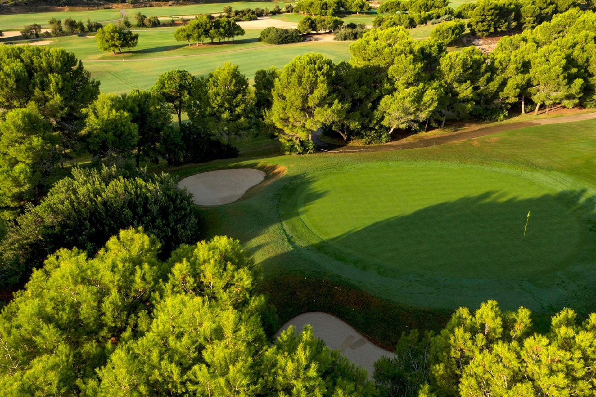 Nowy budynek - Villa -
Pilar de la Horadada - Lo Romero Golf