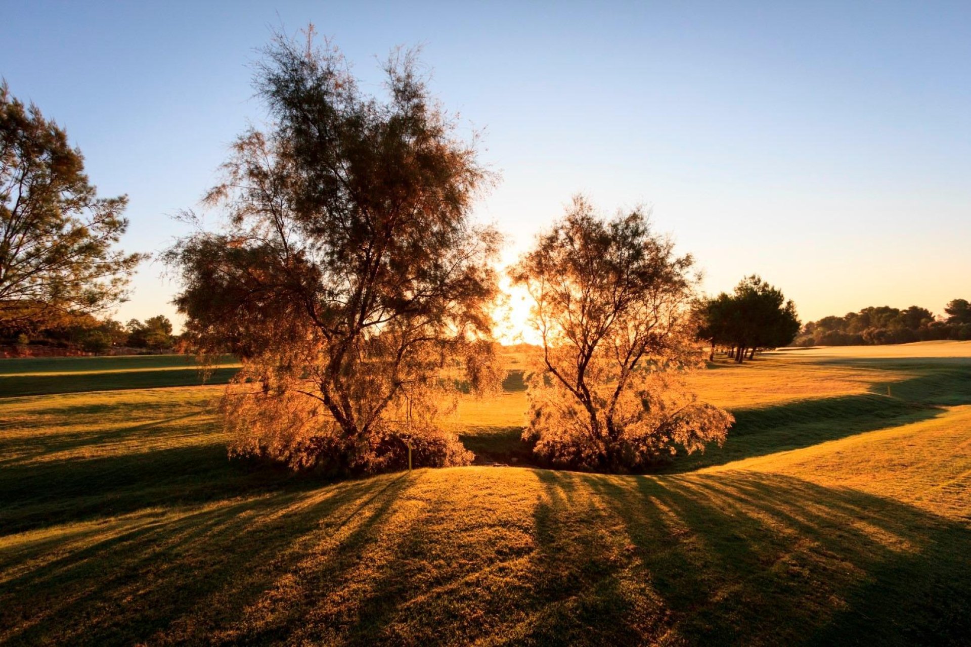 Nowy budynek - Villa -
Pilar de la Horadada - Lo Romero Golf