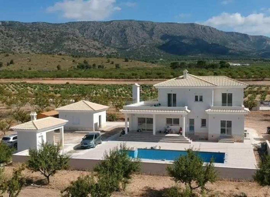 Nowy budynek - Villa -
Pinoso - Camino Del Prado