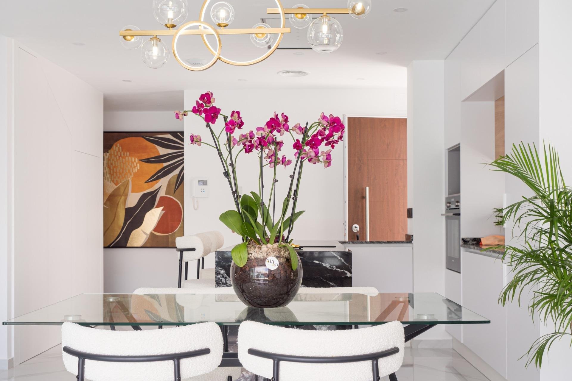 Nowy budynek - Villa -
San Pedro del Pinatar - San Pedro Del Pinatar