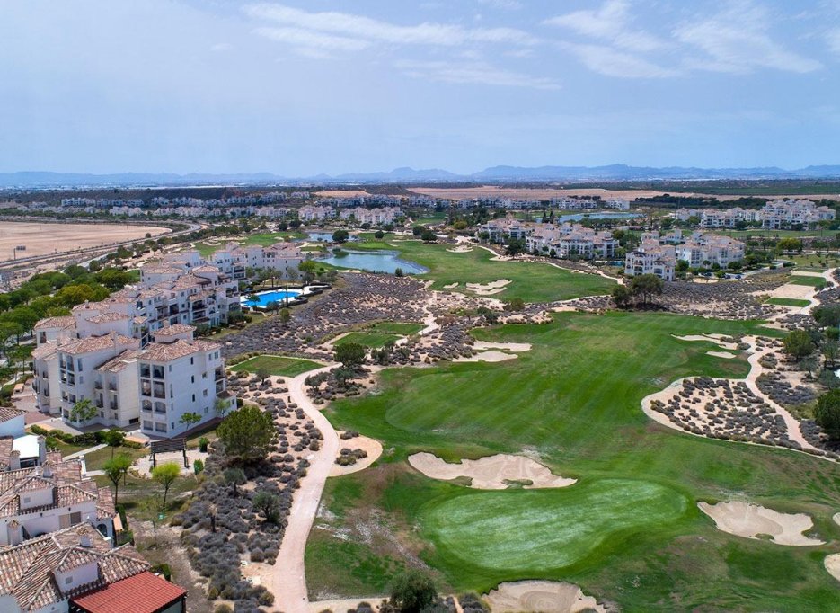 Nowy budynek - Villa -
Sucina