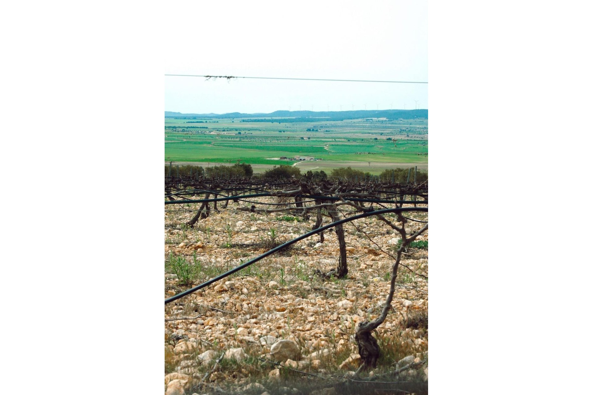 Nowy budynek - Villa -
Yecla