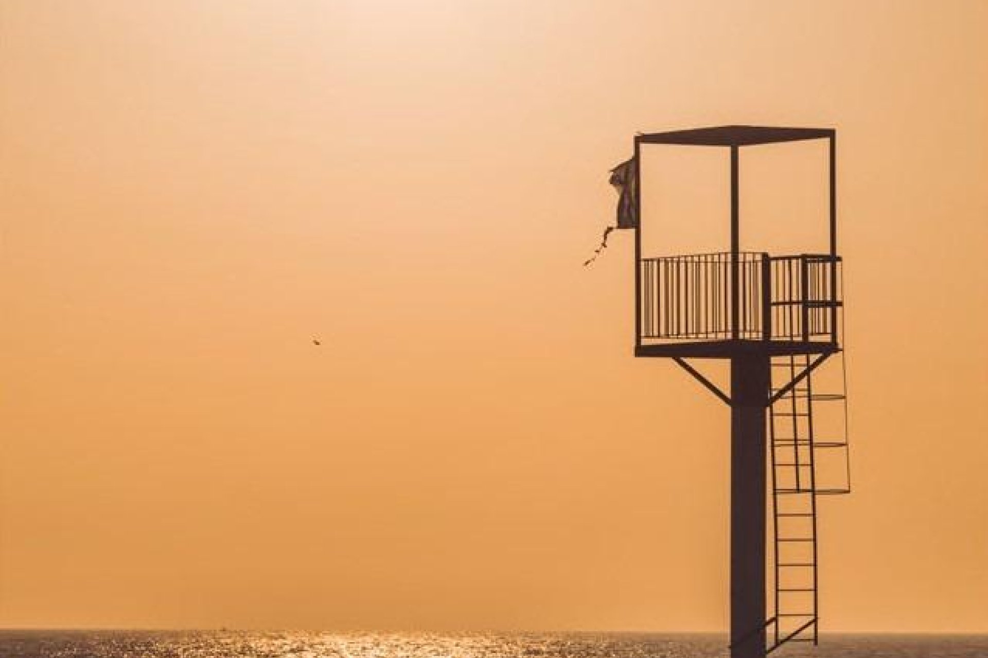 Obra nueva - Apartmento -
Almerimar