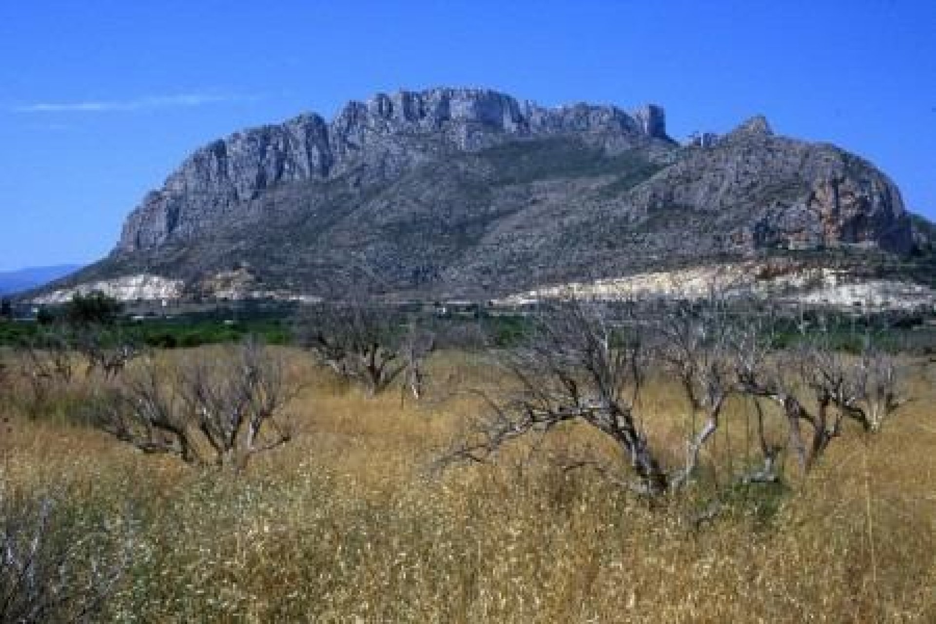 Obra nueva - Apartmento -
Denia - El Verger