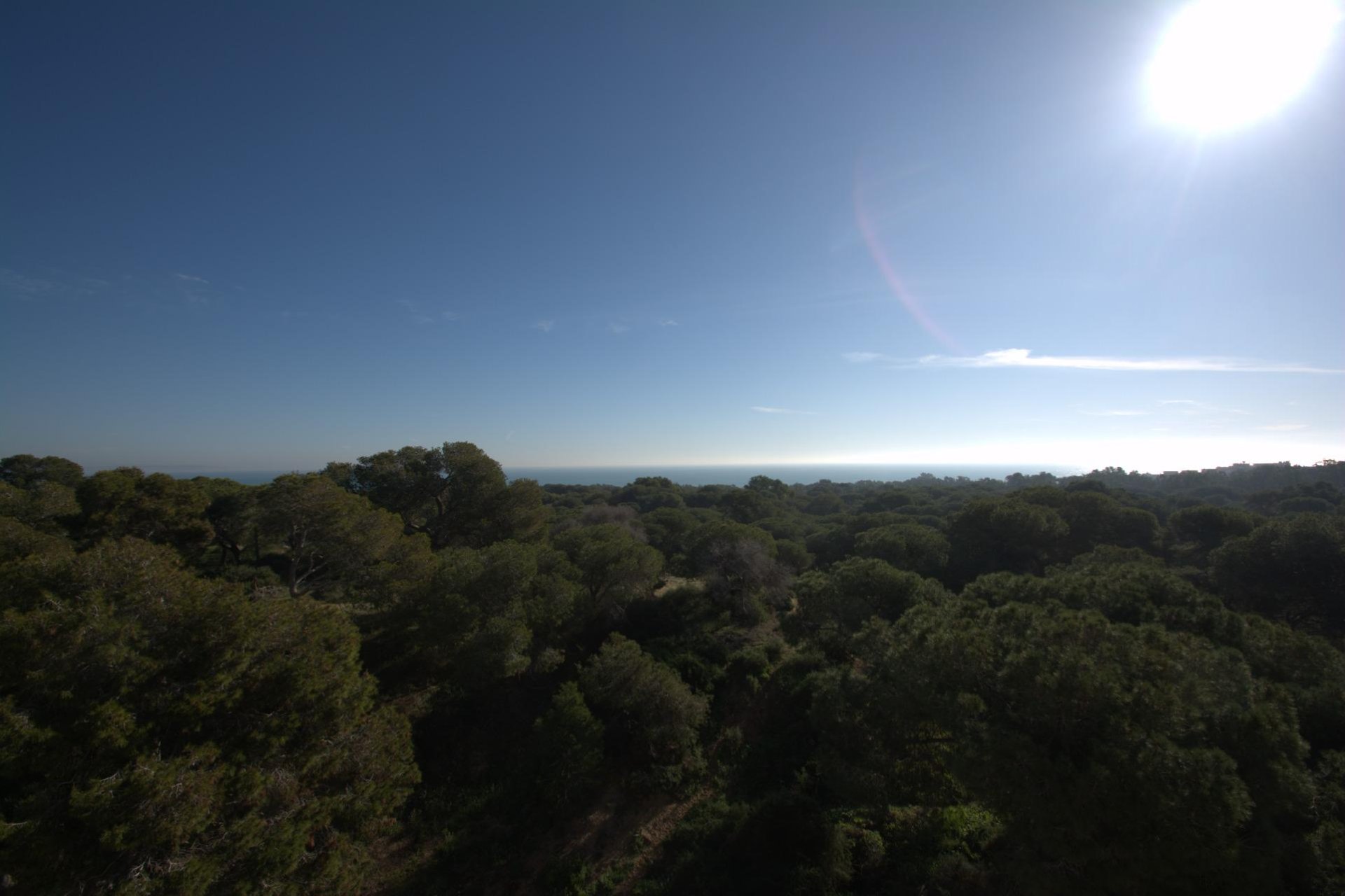 Obra nueva - Apartmento -
Guardamar del Segura - Pueblo