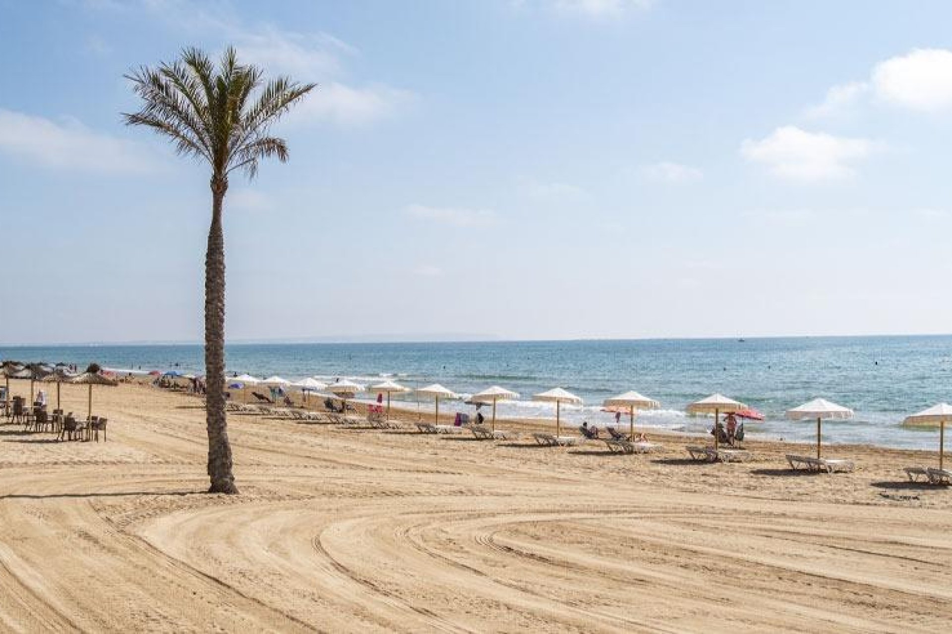 Obra nueva - Apartmento -
Guardamar del Segura - Pueblo