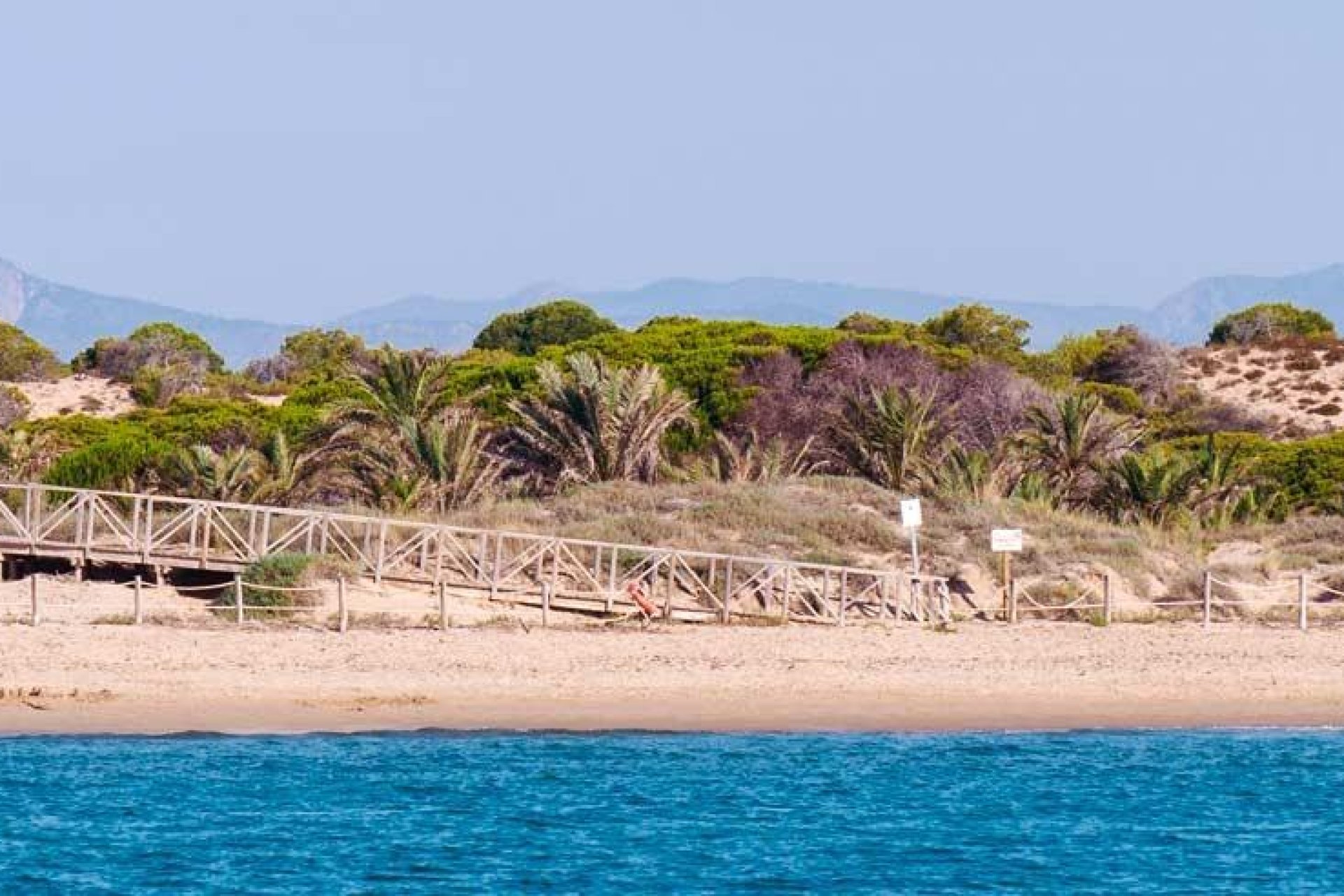 Obra nueva - Apartmento -
Guardamar del Segura - Pueblo
