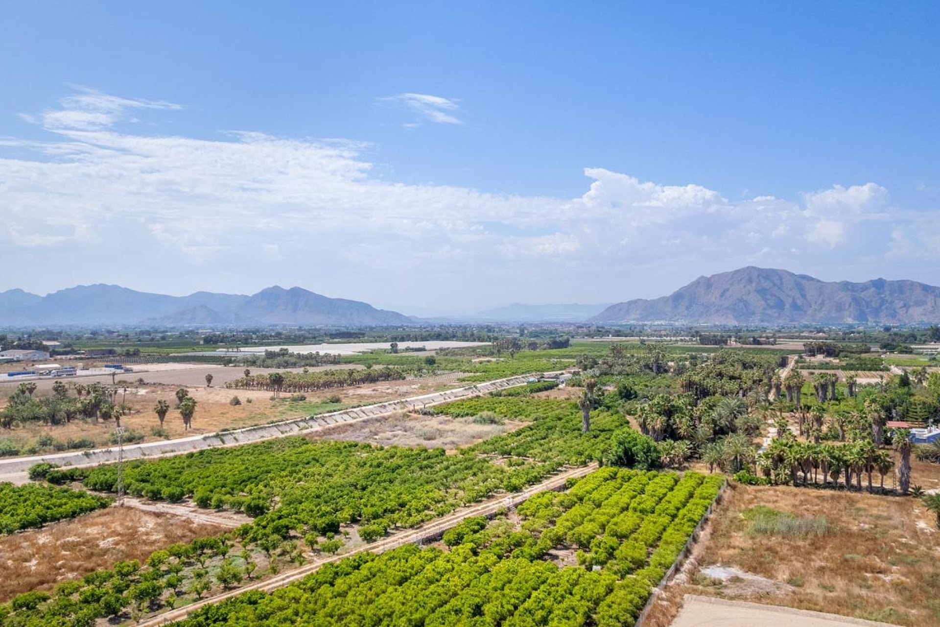 Obra nueva - Apartmento -
Jacarilla - pueblo