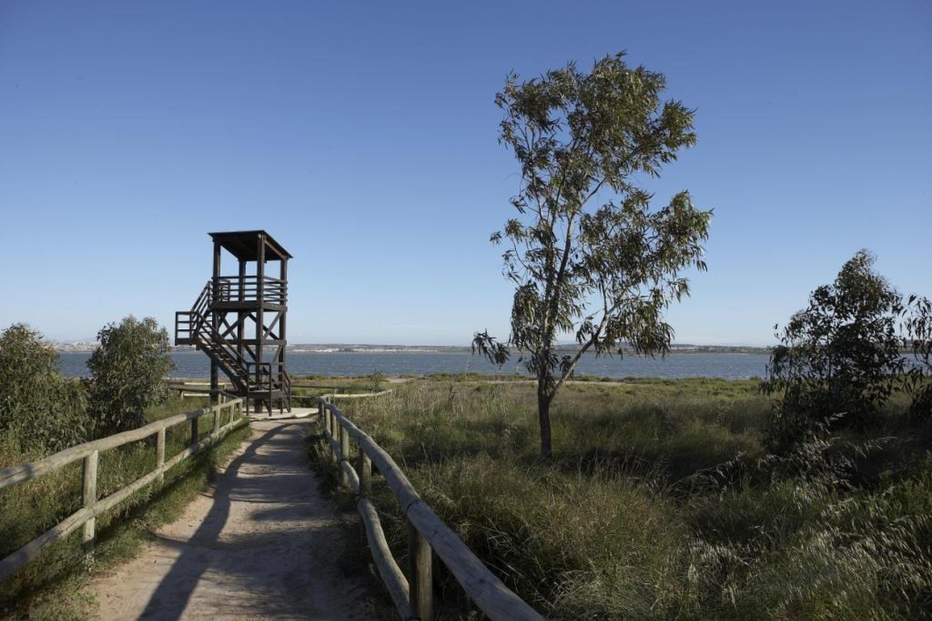 Obra nueva - Apartmento -
San Miguel de Salinas - Pueblo