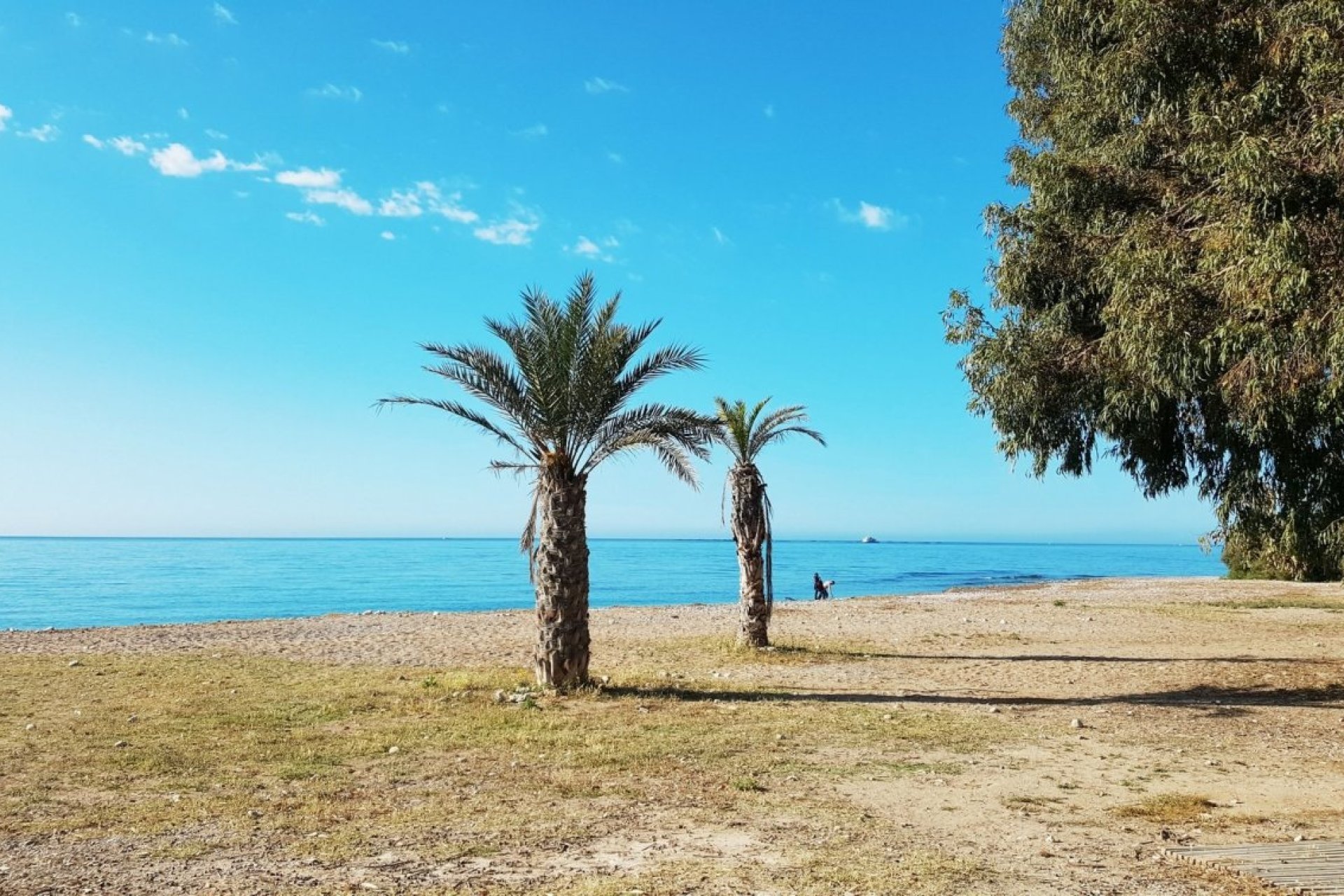 Obra nueva - Apartmento -
Villajoyosa - Playa Les Torres