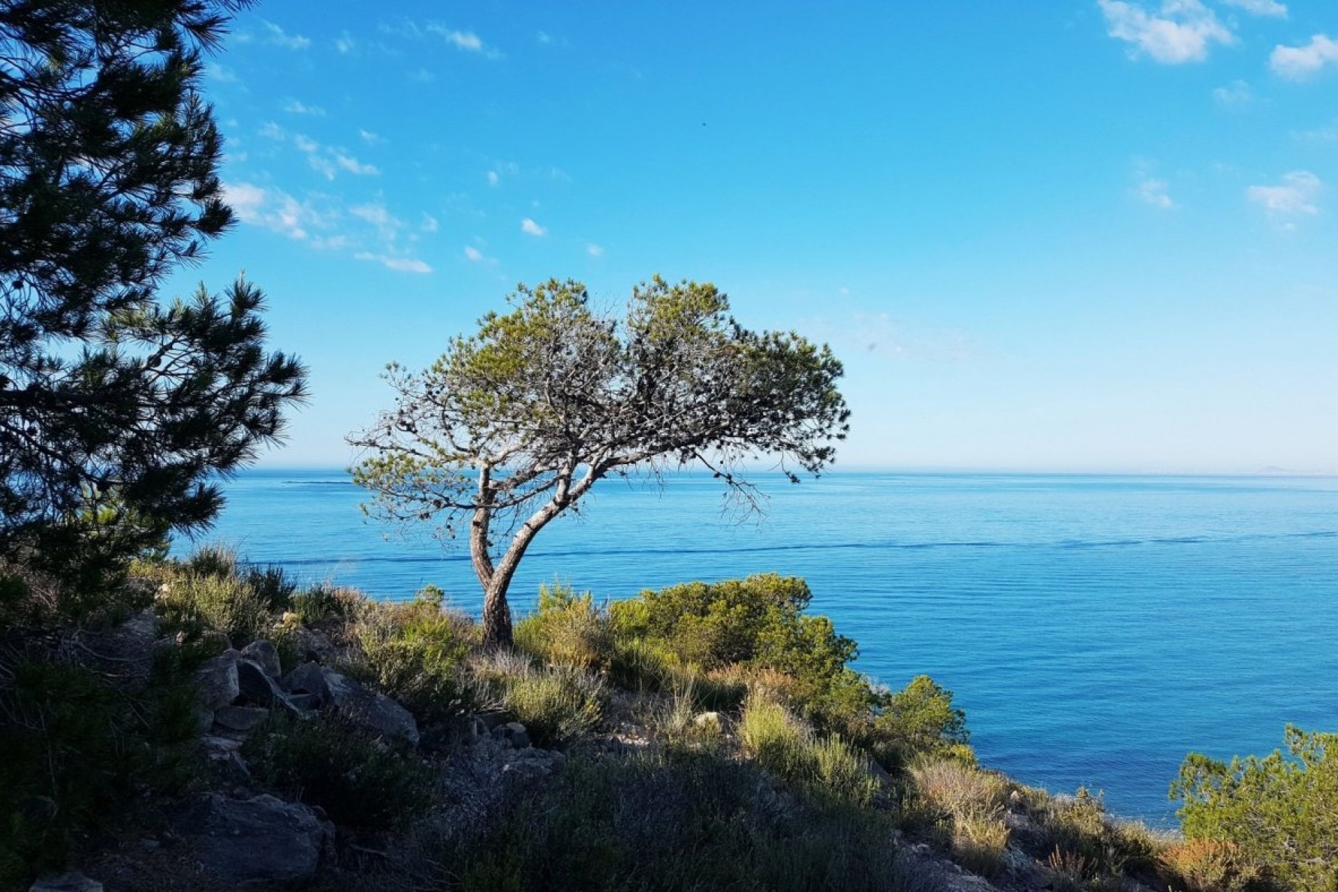 Obra nueva - Apartmento -
Villajoyosa - Playa Les Torres