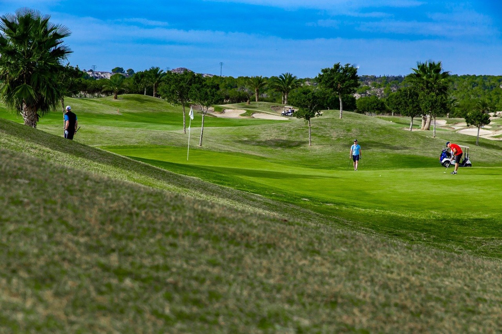 Obra nueva - Bungalow -
Orihuela - Vistabella Golf