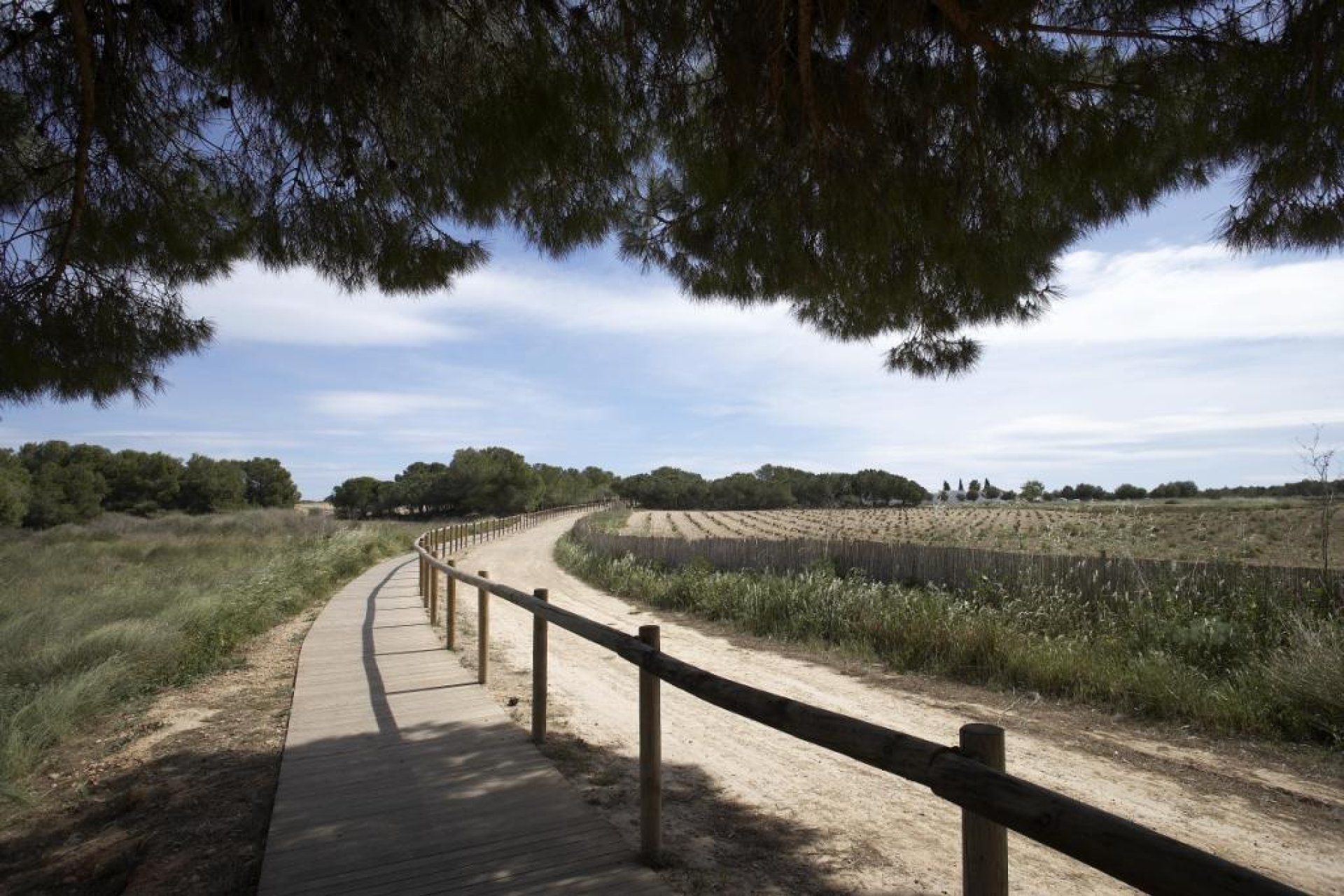 Obra nueva - Bungalow -
Torrevieja - Altos del Sol