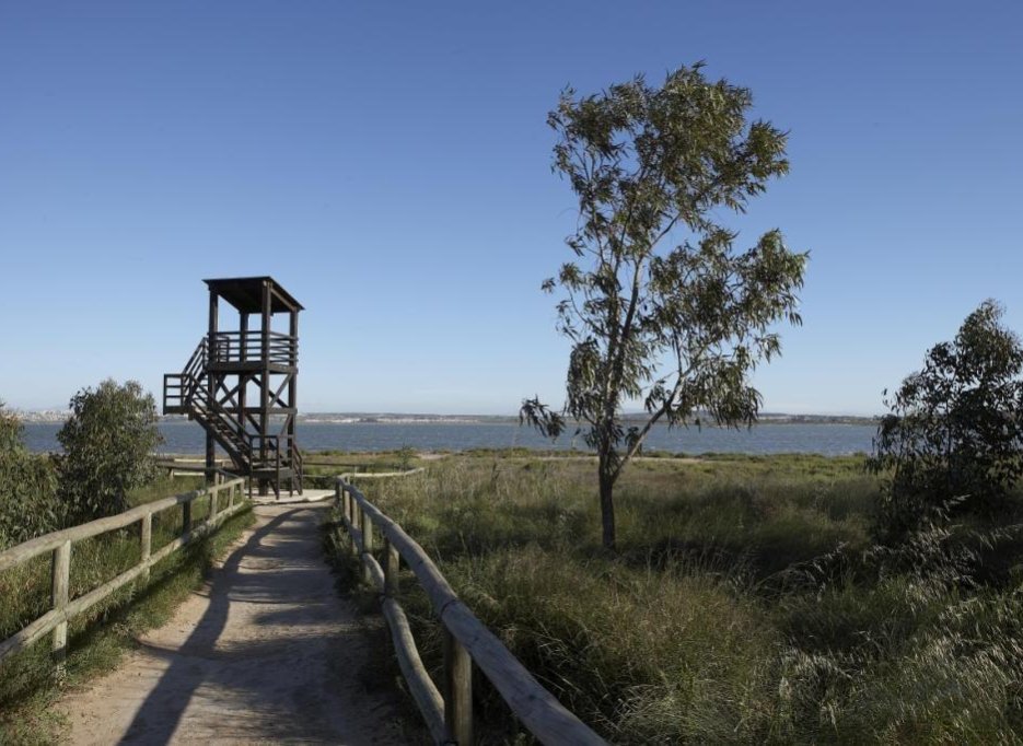 Obra nueva - Bungalow -
Torrevieja - Altos del Sol