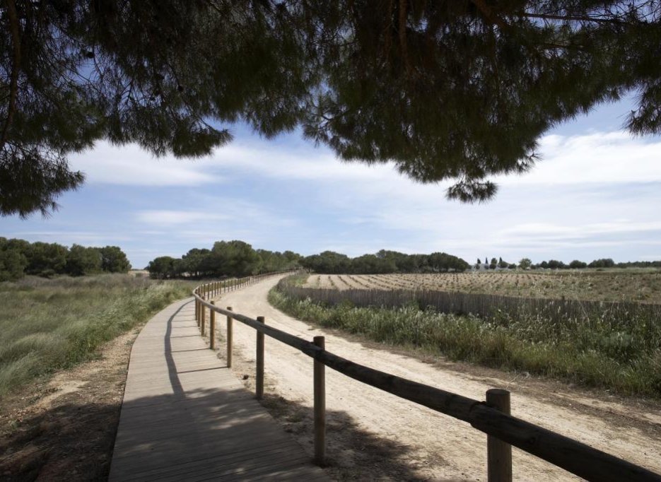 Obra nueva - Bungalow -
Torrevieja - Altos del Sol