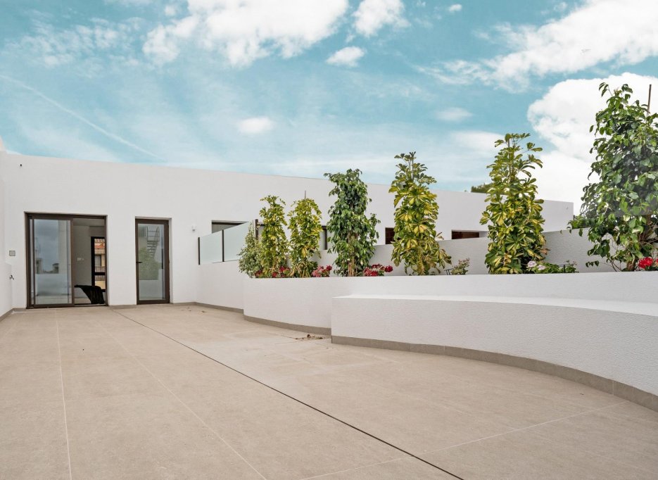 Obra nueva - Villa -
Almoradí - Las Heredades