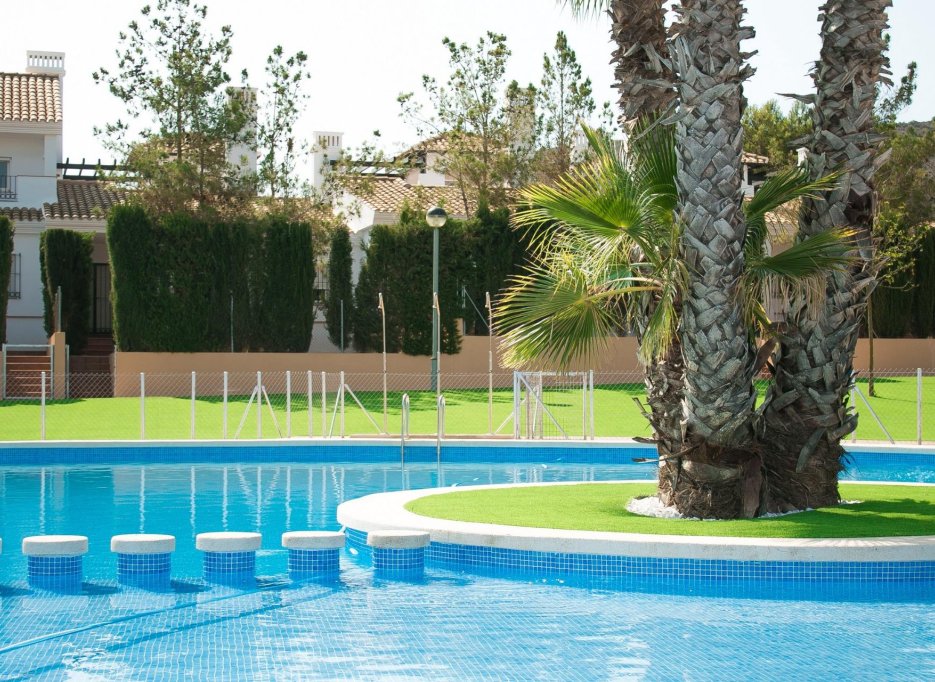 Obra nueva - Villa -
Fuente Álamo - Las Palas