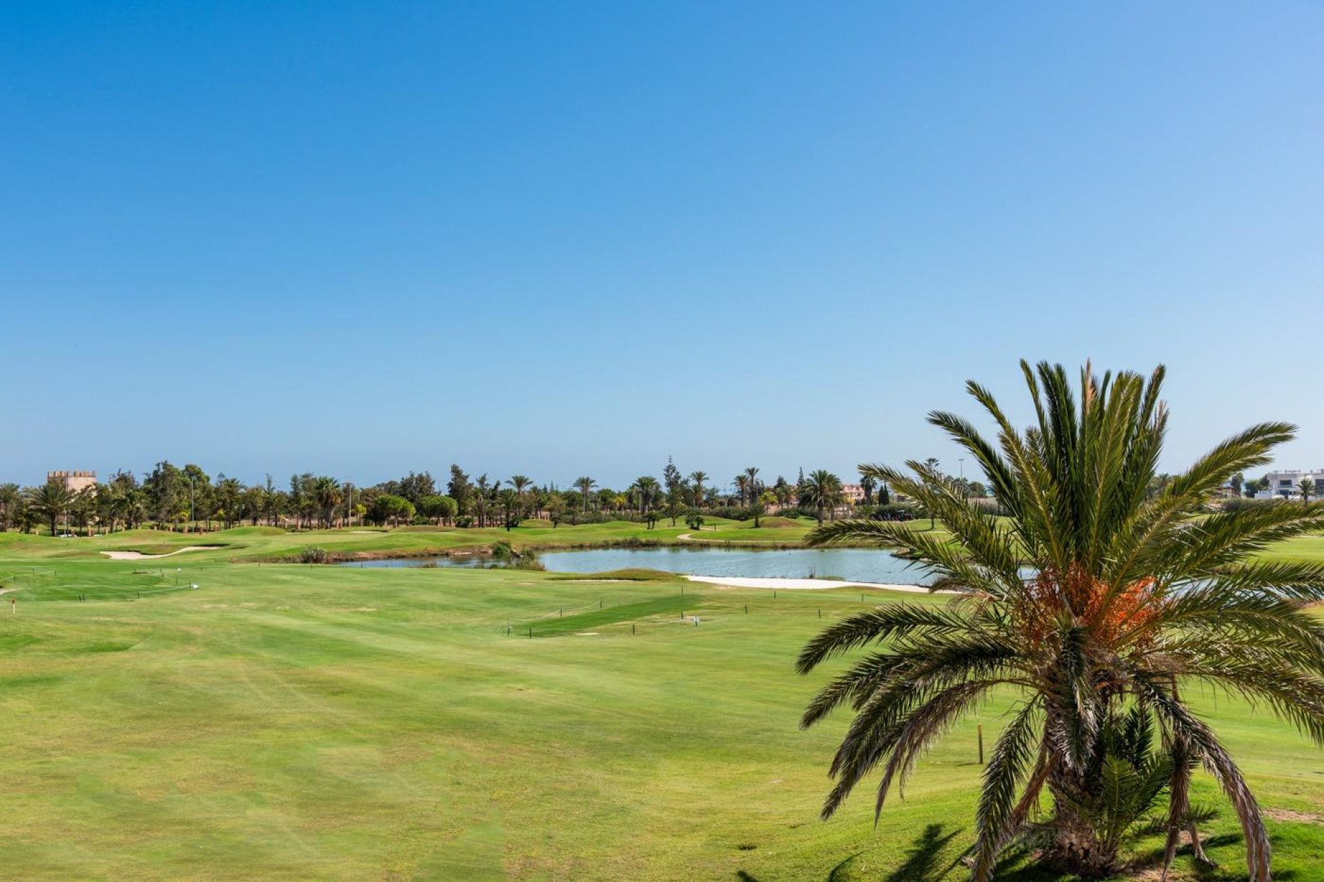 Obra nueva - Villa -
Los Alcazares - Serena Golf