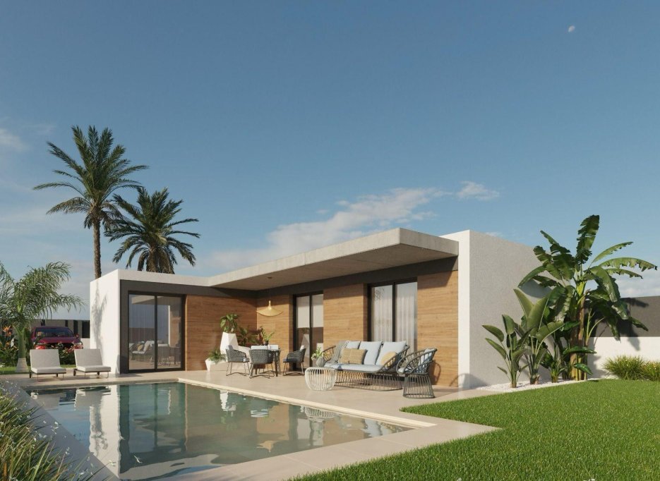 Obra nueva - Villa -
Molina De Segura - Urb. La Quinta
