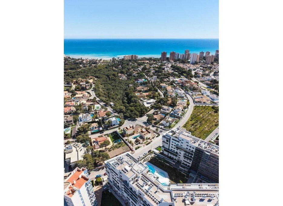 Obra nueva - Villa -
Orihuela Costa - Dehesa de campoamor