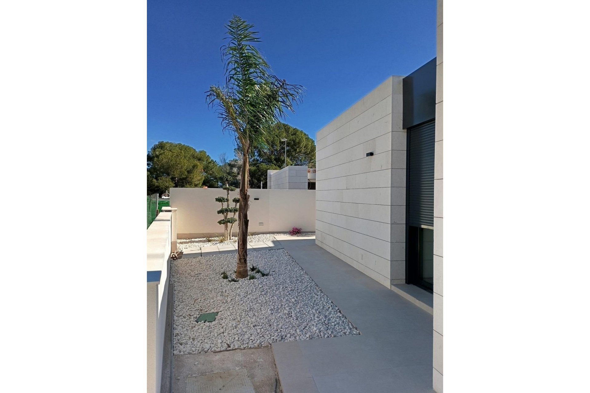 Obra nueva - Villa -
Pilar de la Horadada - Roda Golf